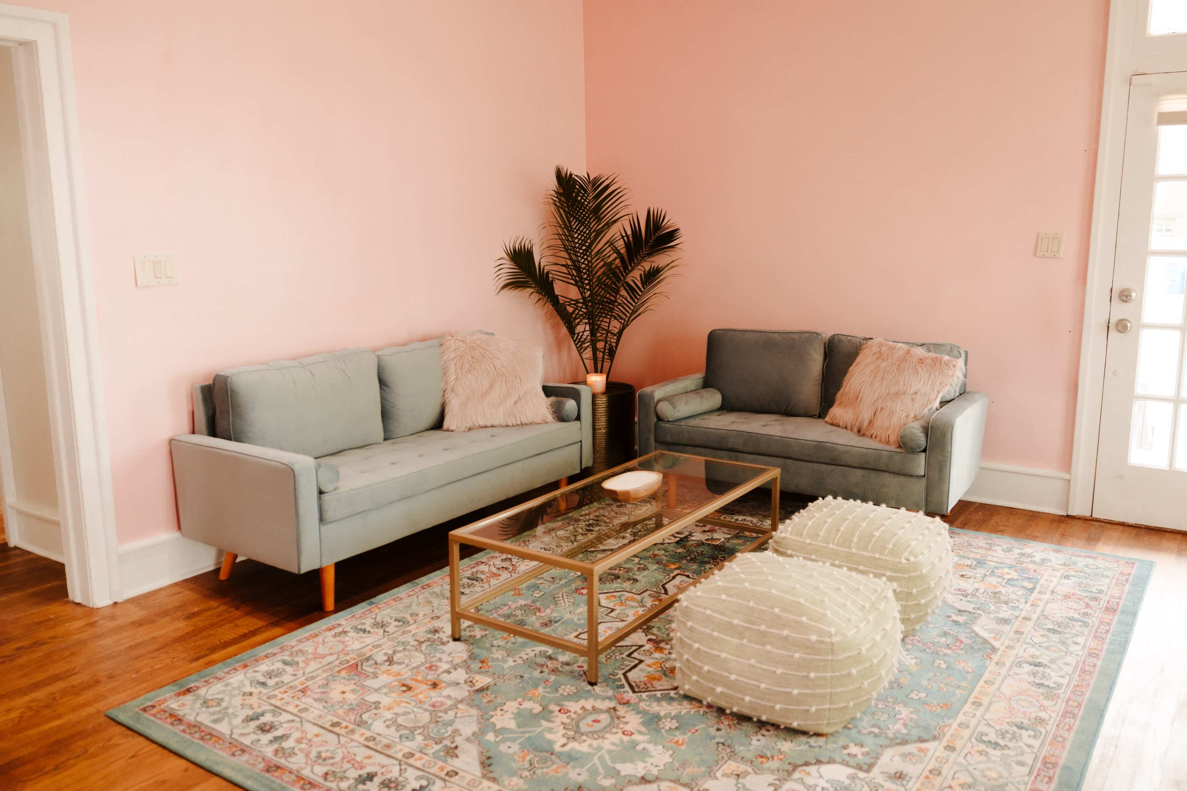 A living room with two light blue sofas, a glass coffee table, a patterned rug, and a potted plant in a corner.
