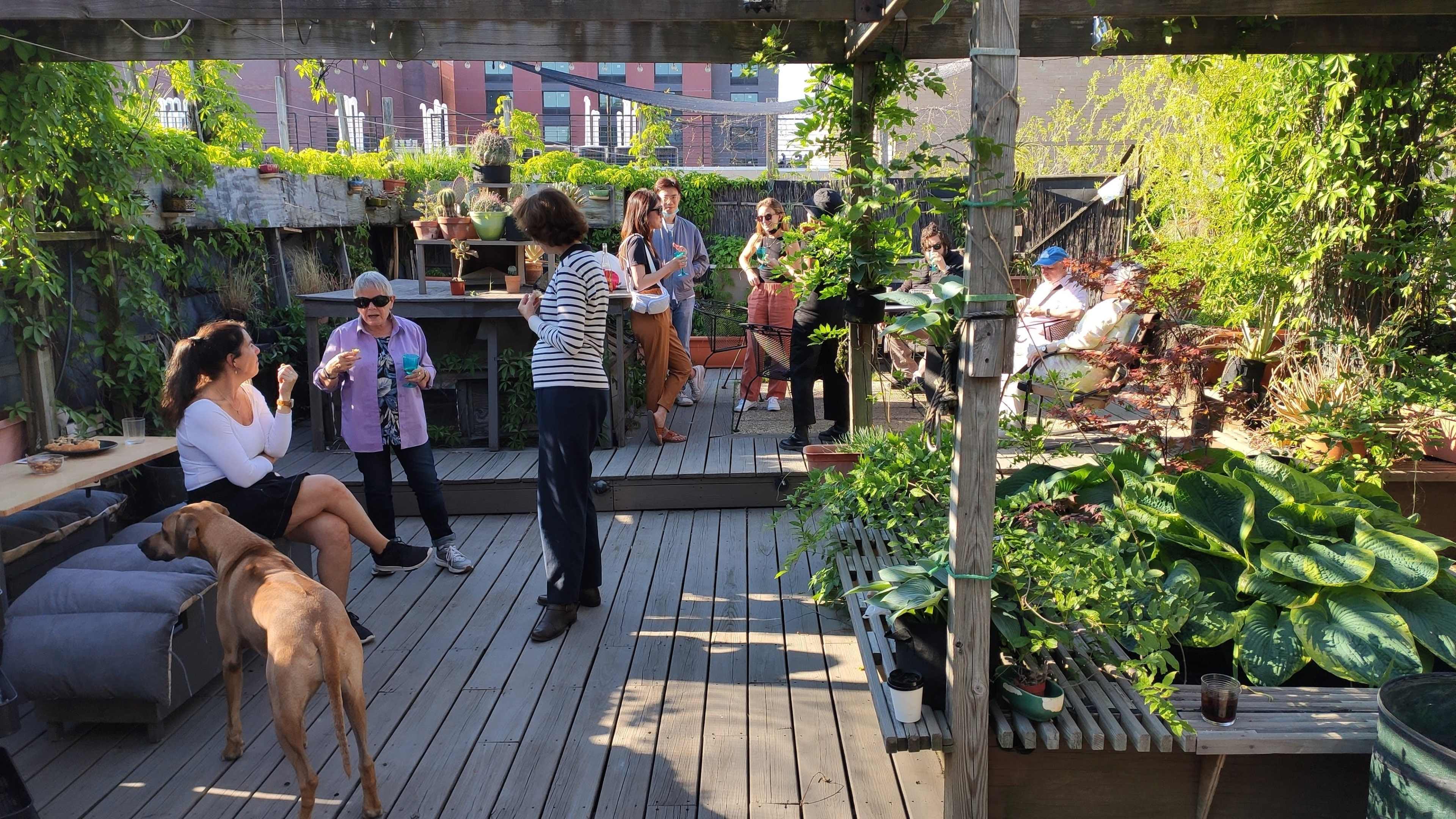 A group of people gathers on a wooden deck surrounded by plants and seating, with some engaging in conversation while others relax.