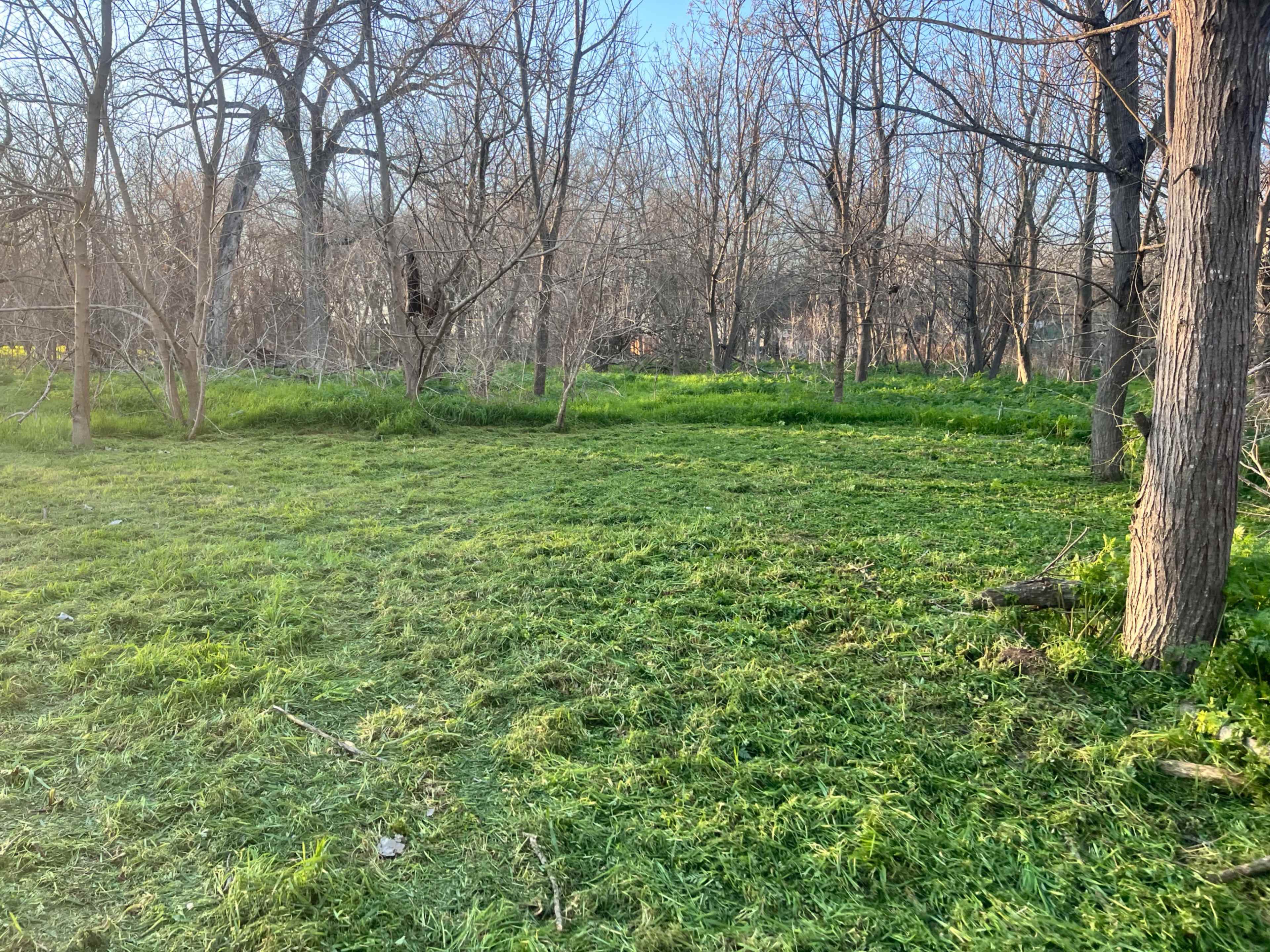 Colorado River Farm Image in , austin, TX