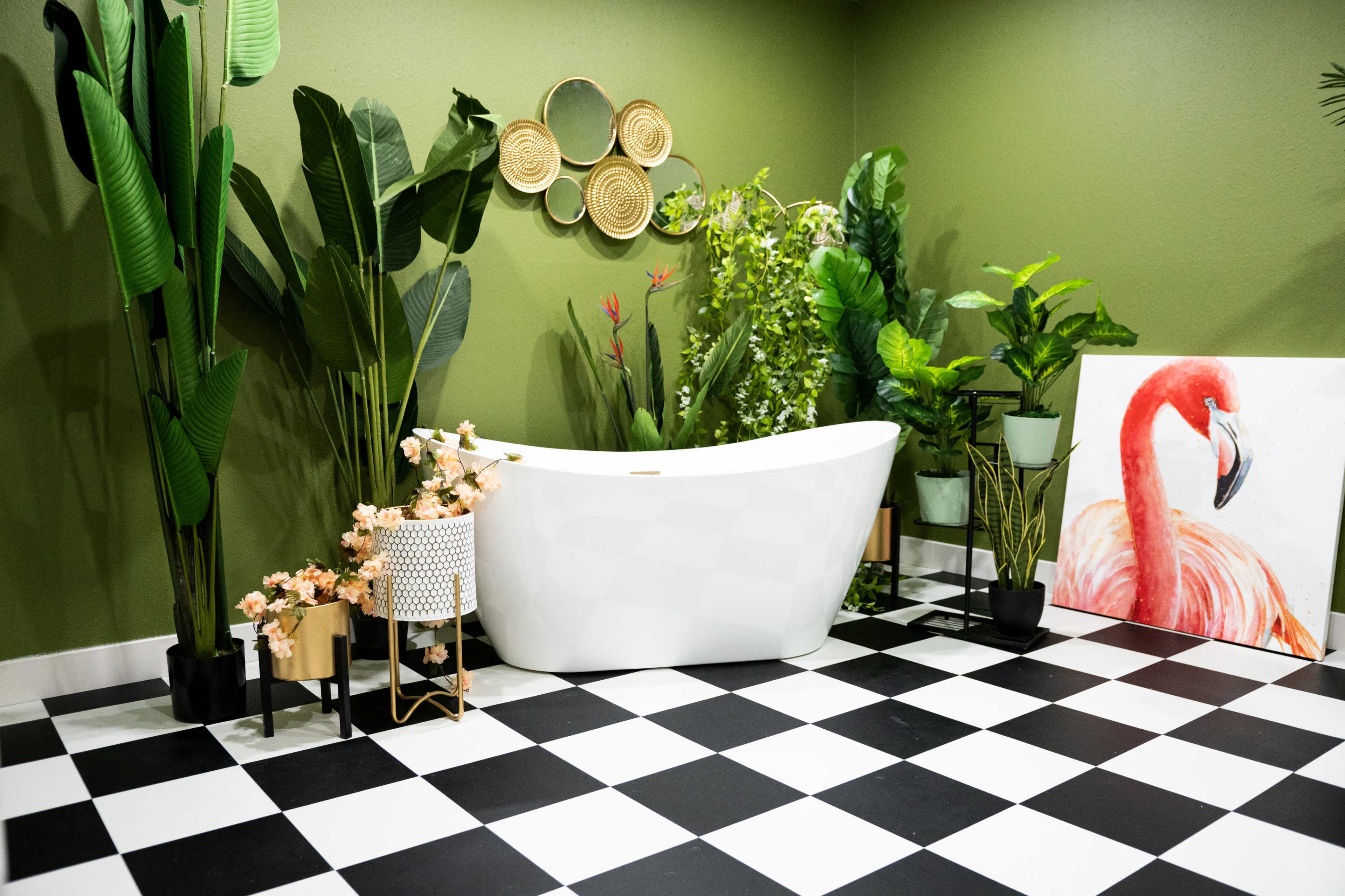 Photo / Video Studio near IAH Airport Image in Iah / Airport Area, Humble, TX