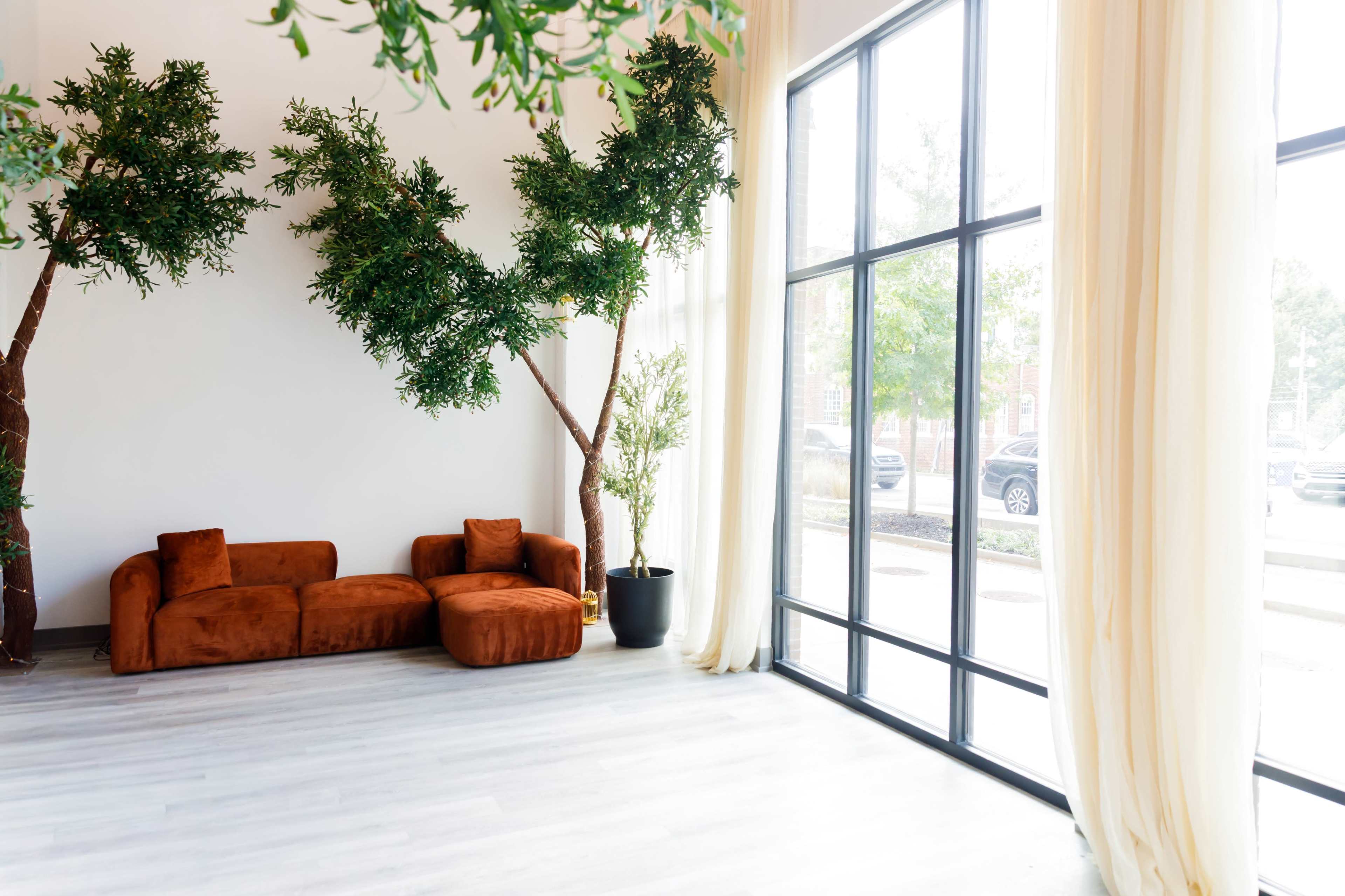 Lush, Light-Filled Creative Studio with Giant Olive Trees & Golden Hour Glow Image in Downtown Atlanta, Atlanta, GA