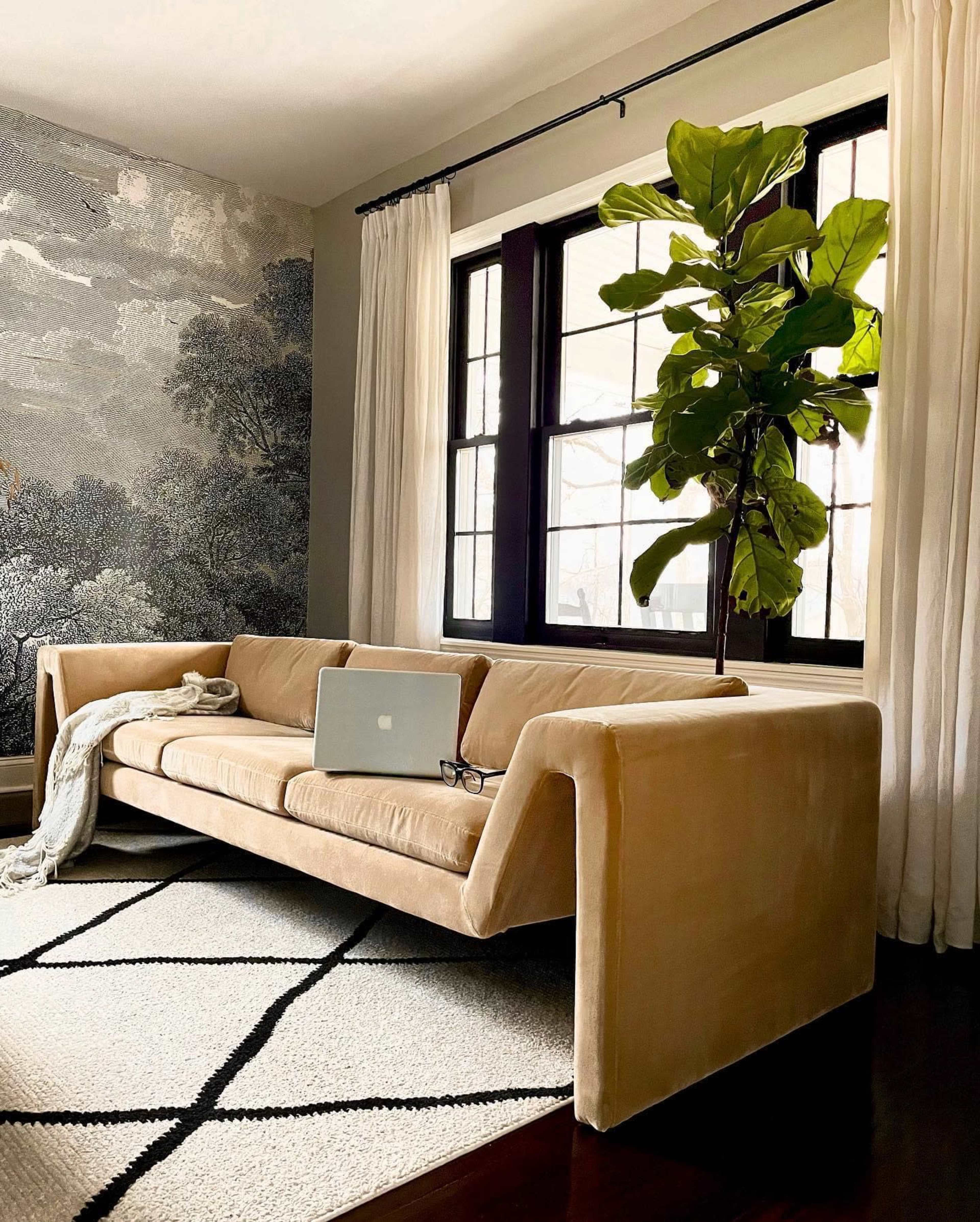 A beige sofa with a laptop and glasses sits next to a large potted plant, against a wall featuring patterned wallpaper and large windows.