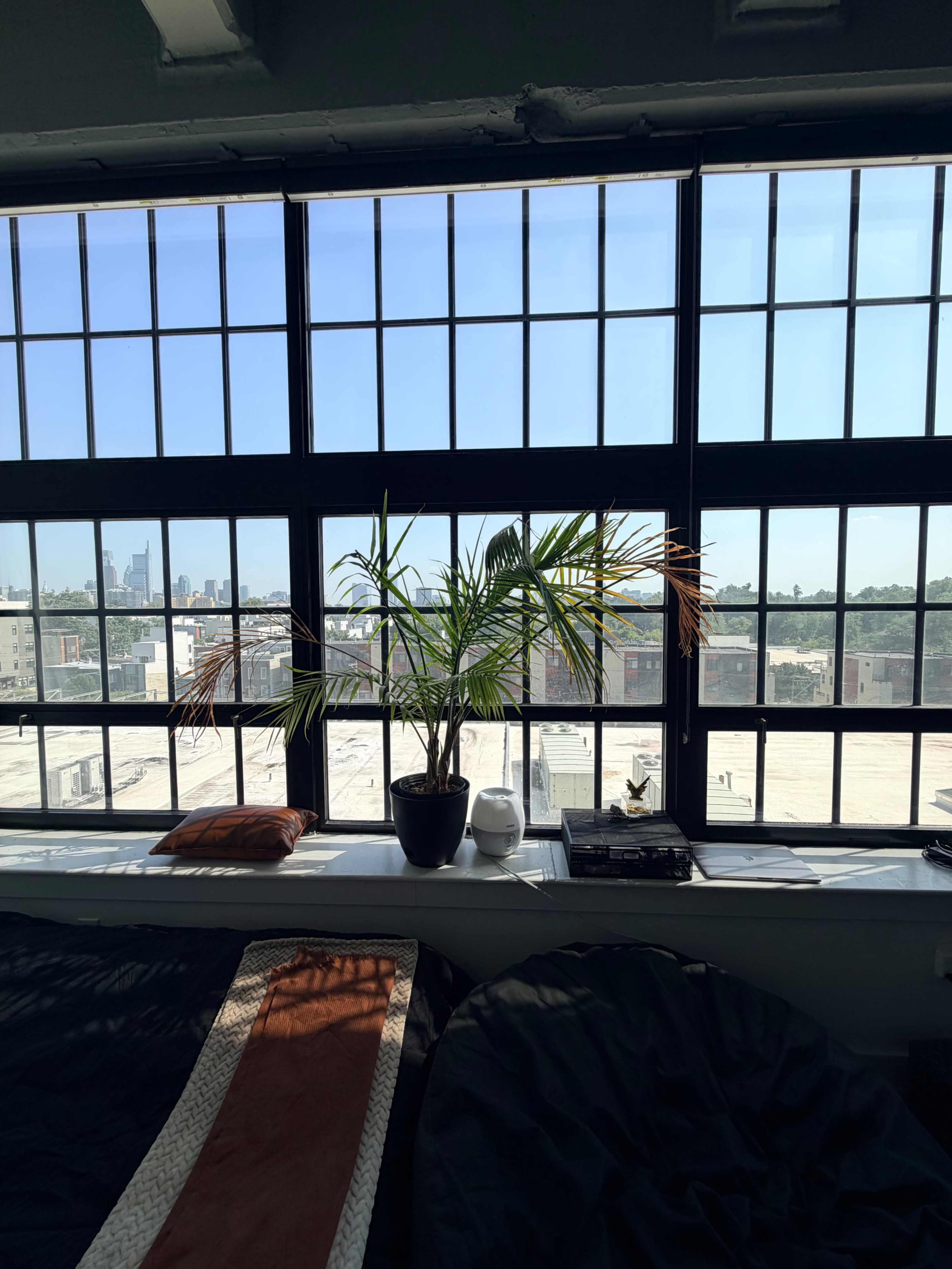 A potted palm sits on a windowsill, framed by large industrial windows that overlook a cityscape under a clear blue sky.