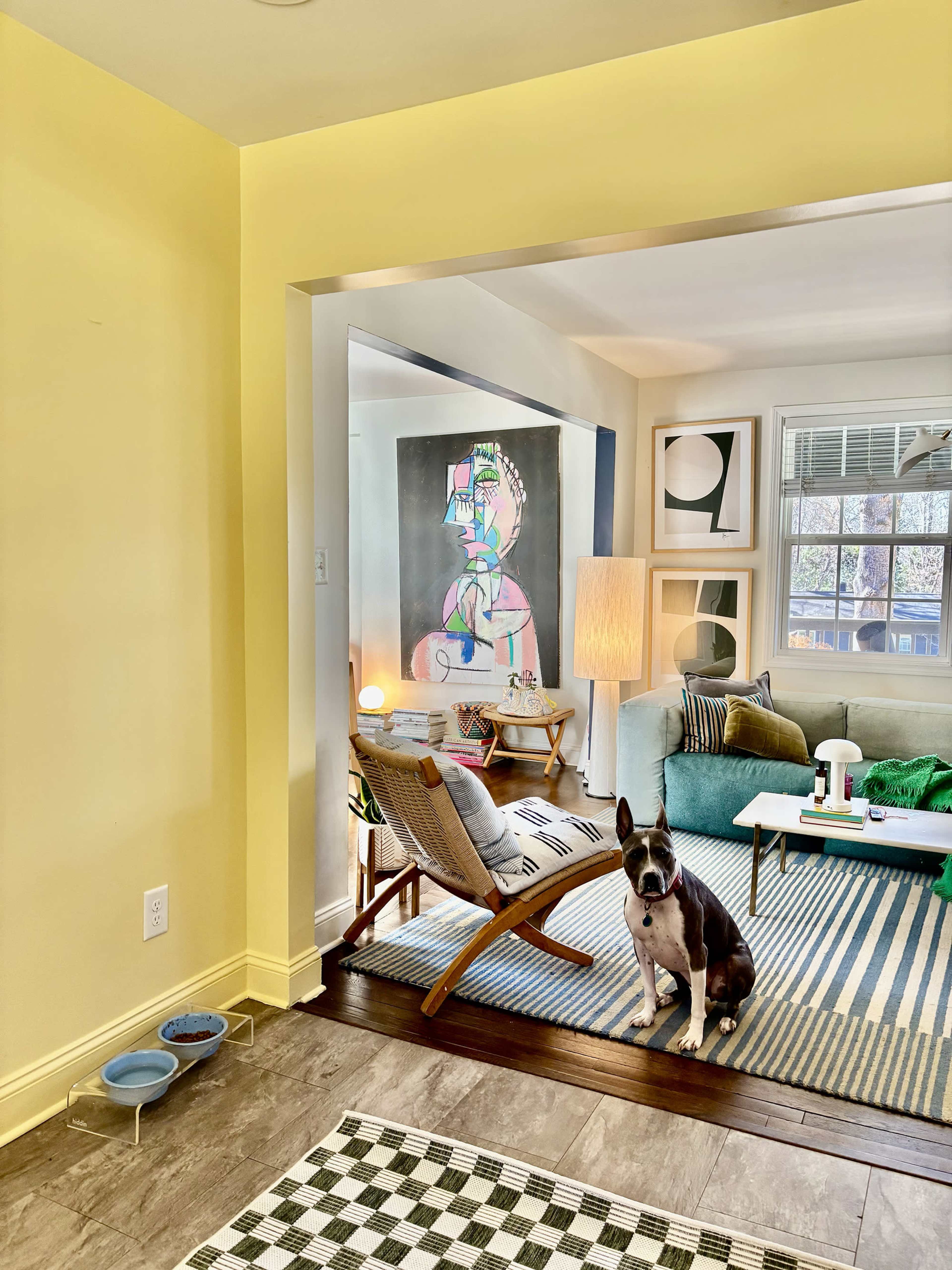 A dog sits on a rug in a brightly lit living space that features yellow walls and a view into an adjacent room with artistic decor and furniture.