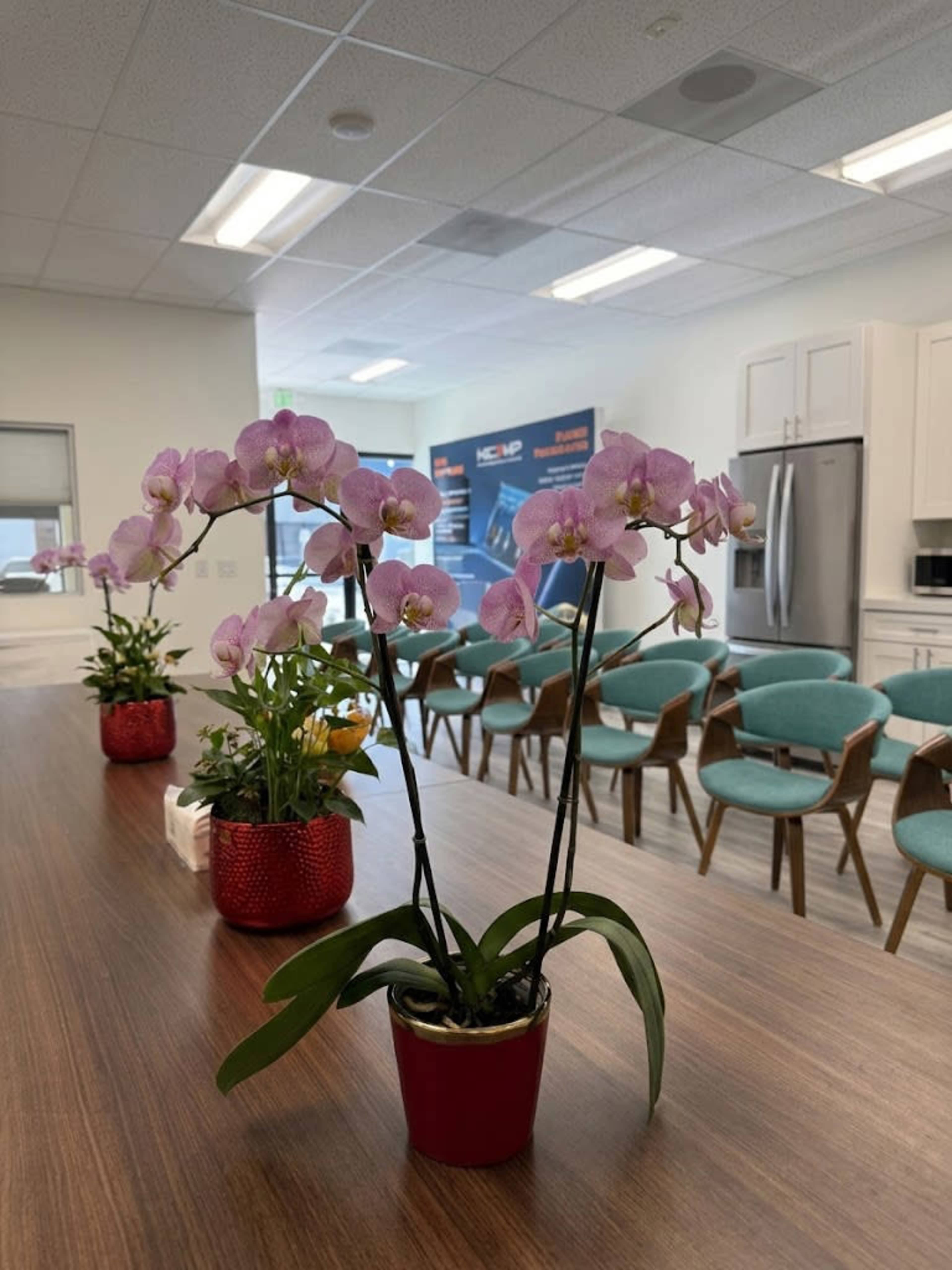 A table with potted orchids and other plants is in a brightly lit office space, with chairs arranged in the background.