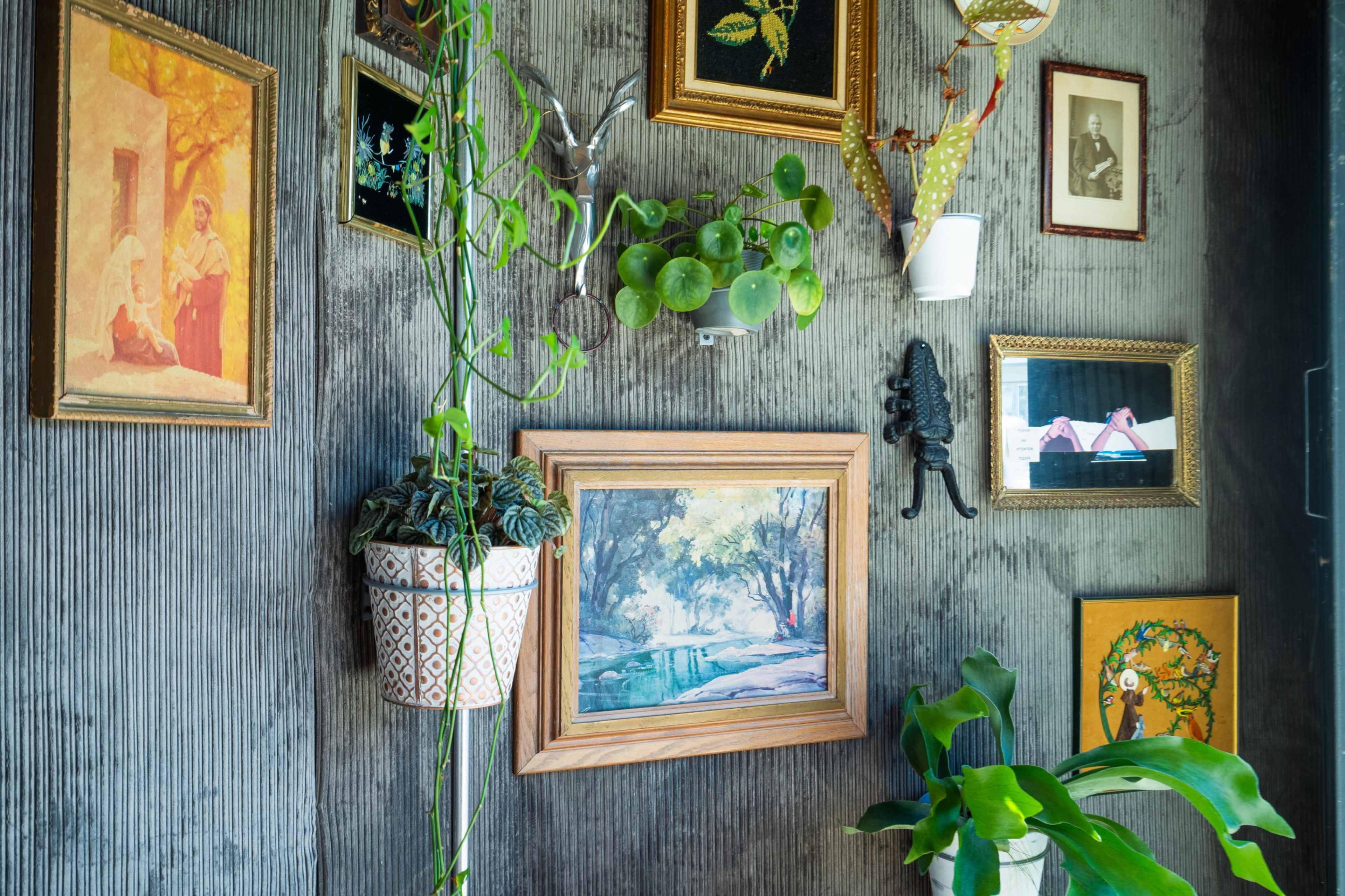 A textured wall adorned with various framed artworks and photographs, alongside hanging plants in decorative pots.