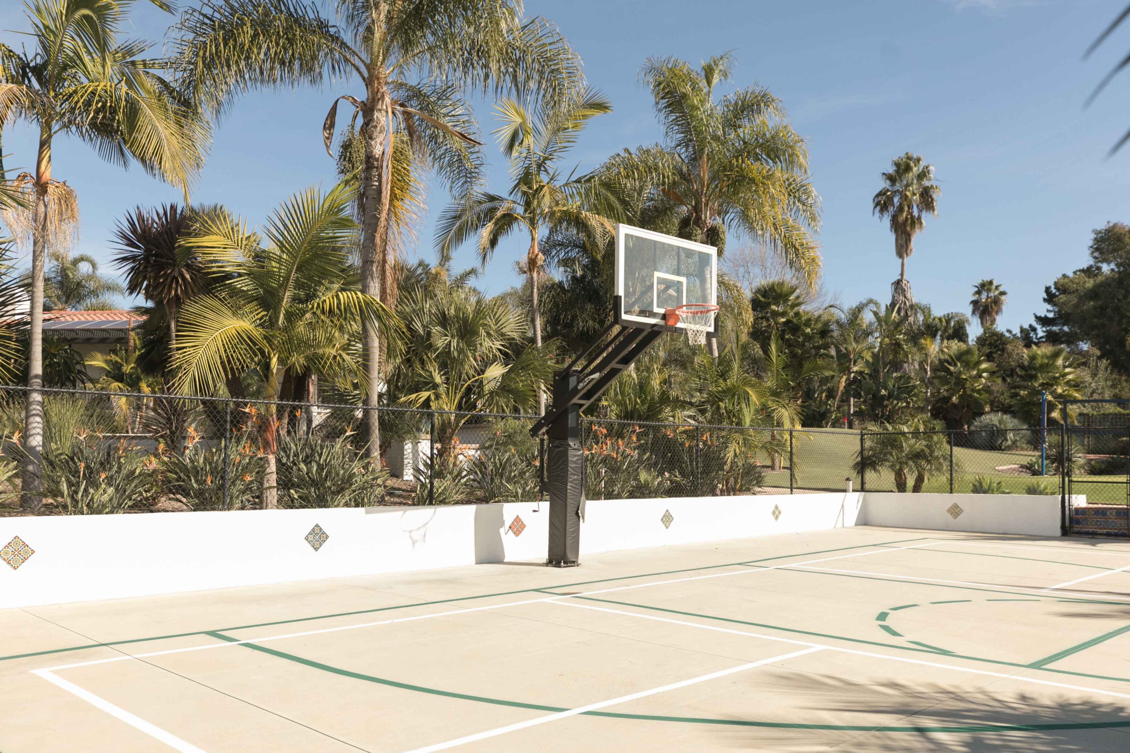 The image shows a basketball court surrounded by palm trees and greenery.