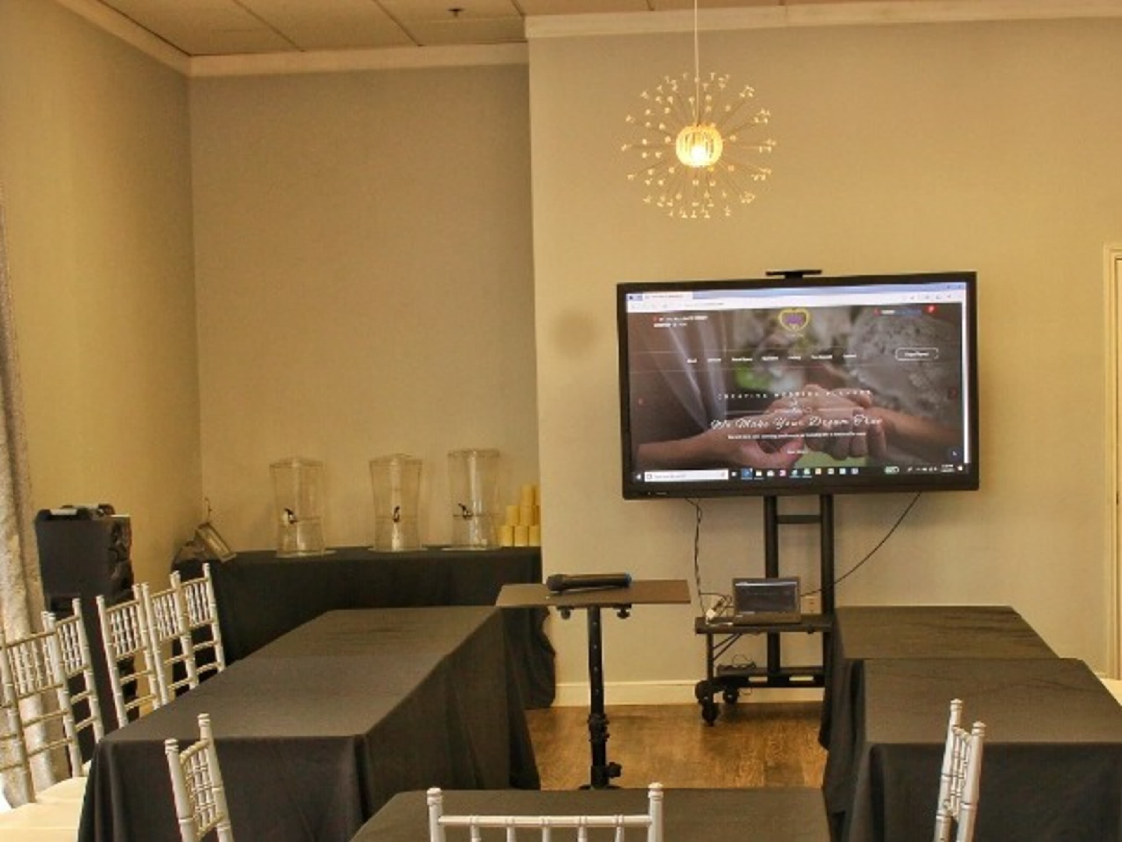 Projector Screen TV