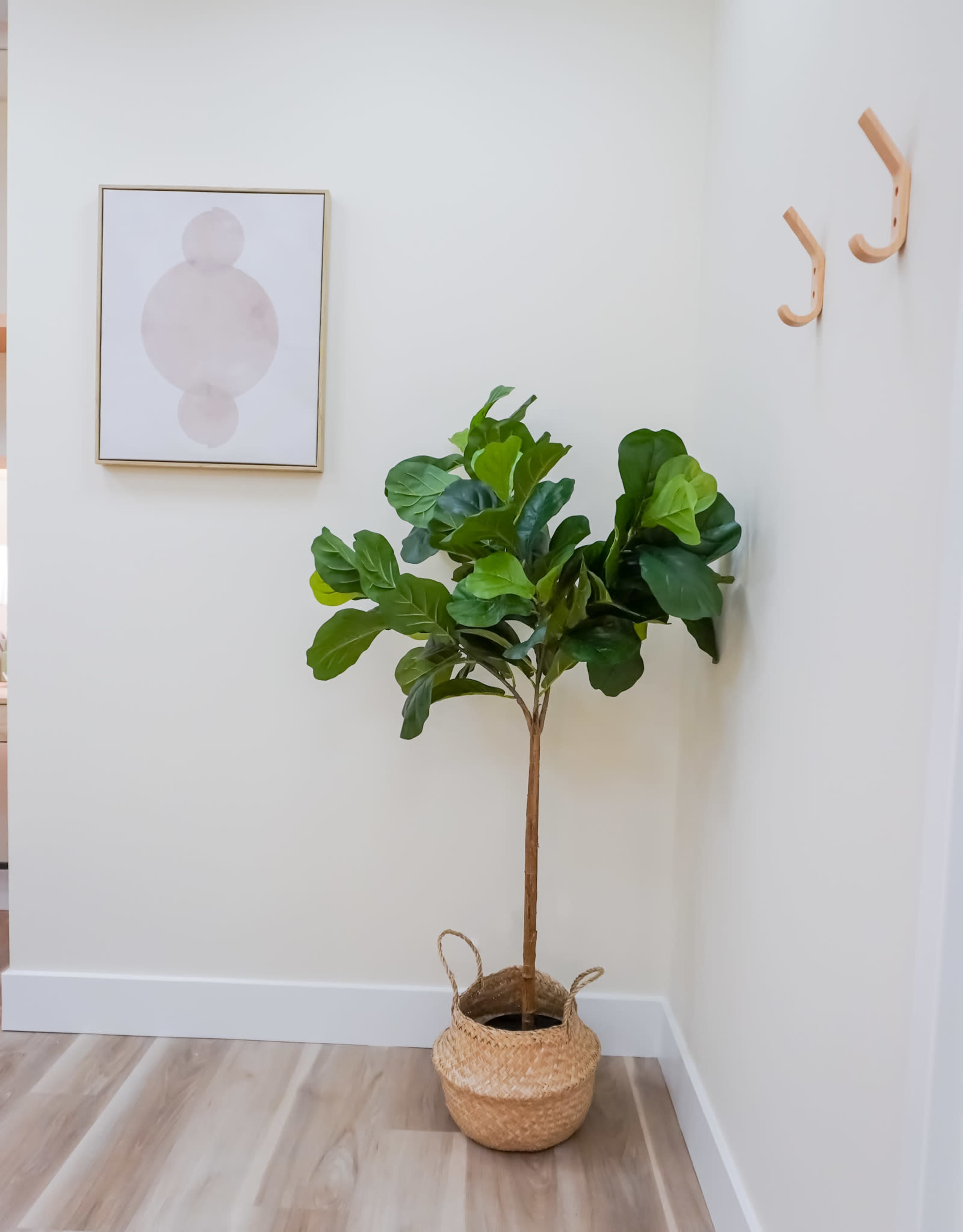 A potted fiddle leaf fig tree stands beside a simple wall-mounted coat rack and a framed art piece on a light-colored wall.