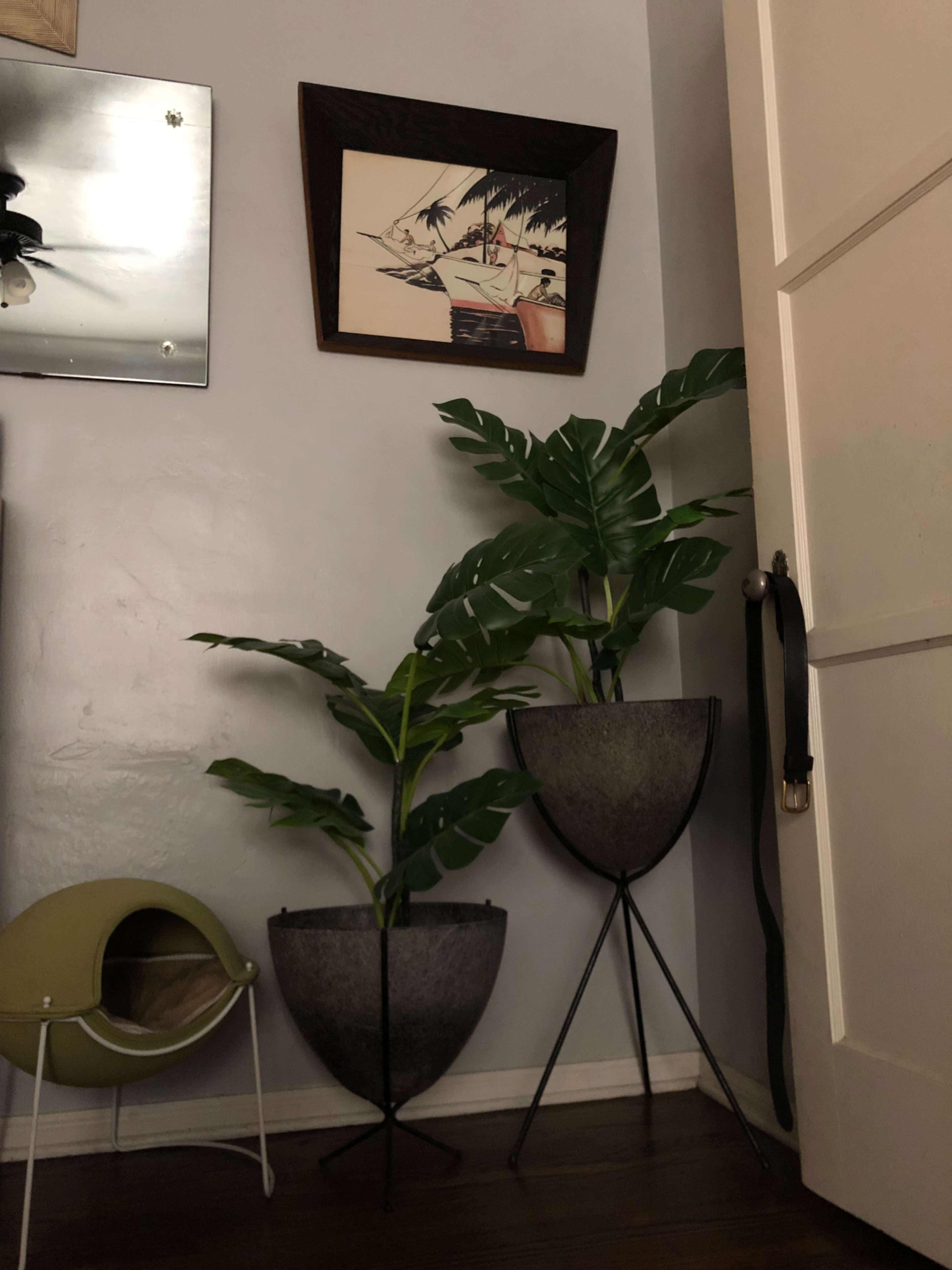 The image shows two potted plants in decorative containers beside a door, with a framed artwork hanging on the wall above them.