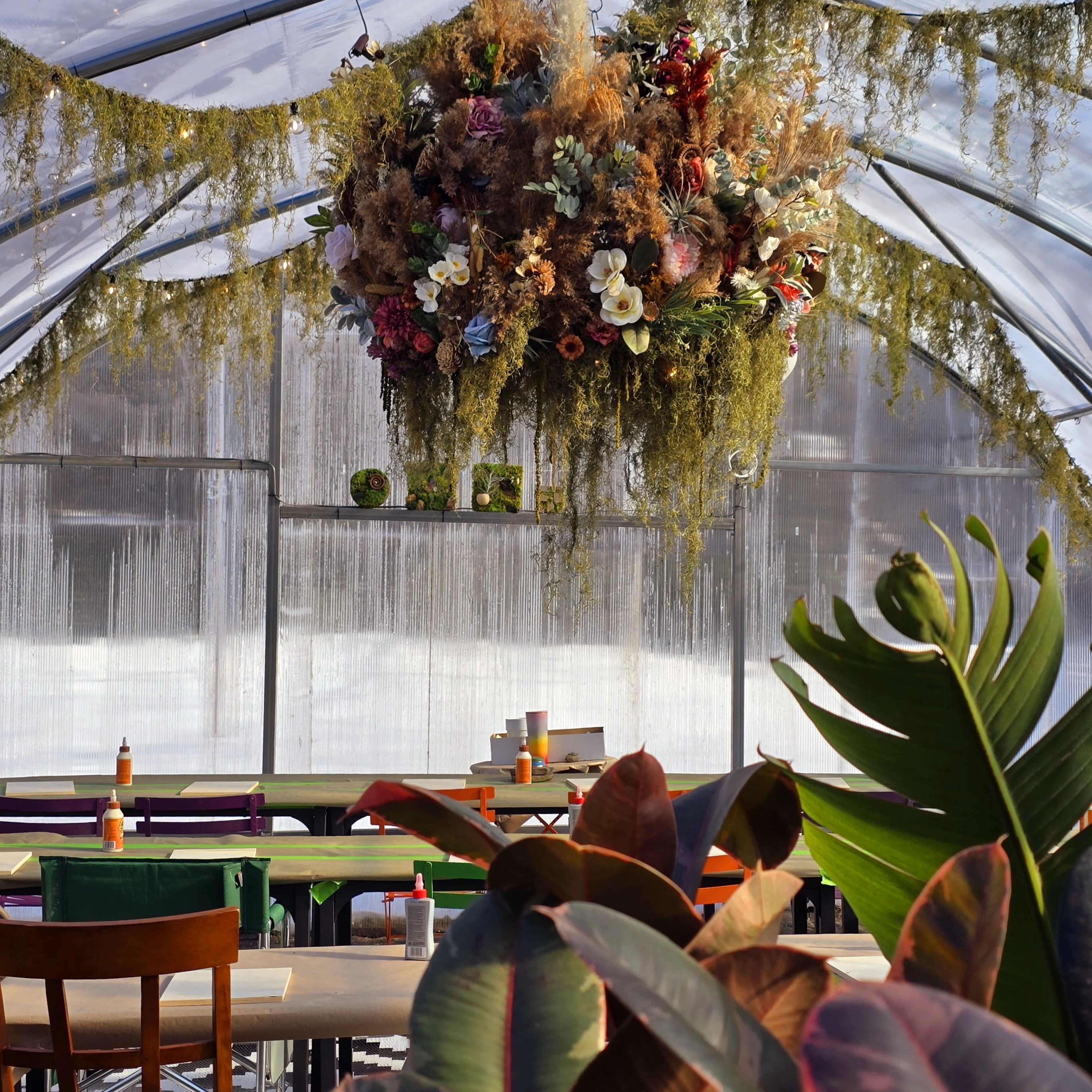 Mood-Lit Greenhouse for Intimate Gatherings & Meetings Image in Elmwood Village, Buffalo, NY