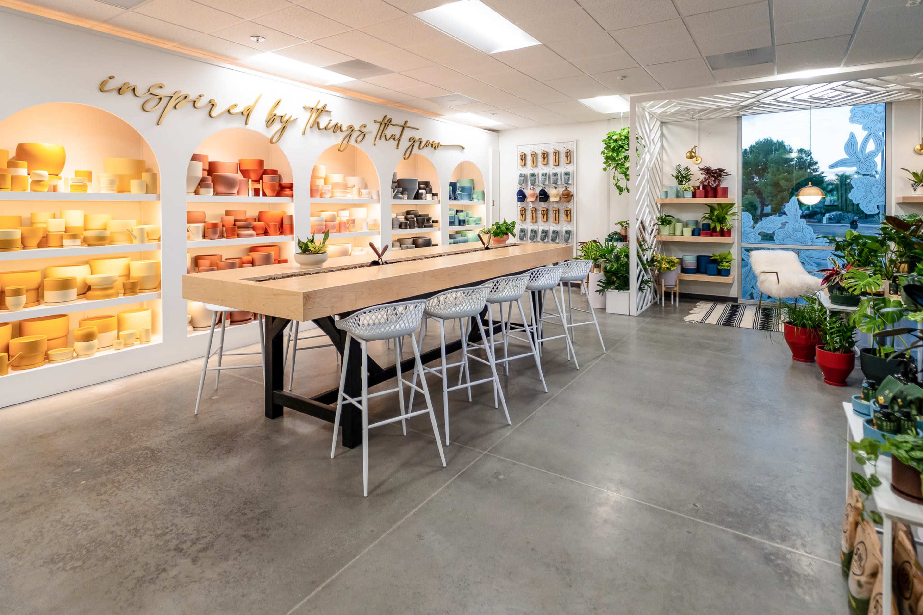 The image shows a spacious, modern workspace featuring a long wooden table surrounded by white chairs, with shelves of colorful planters and plants lining the walls.