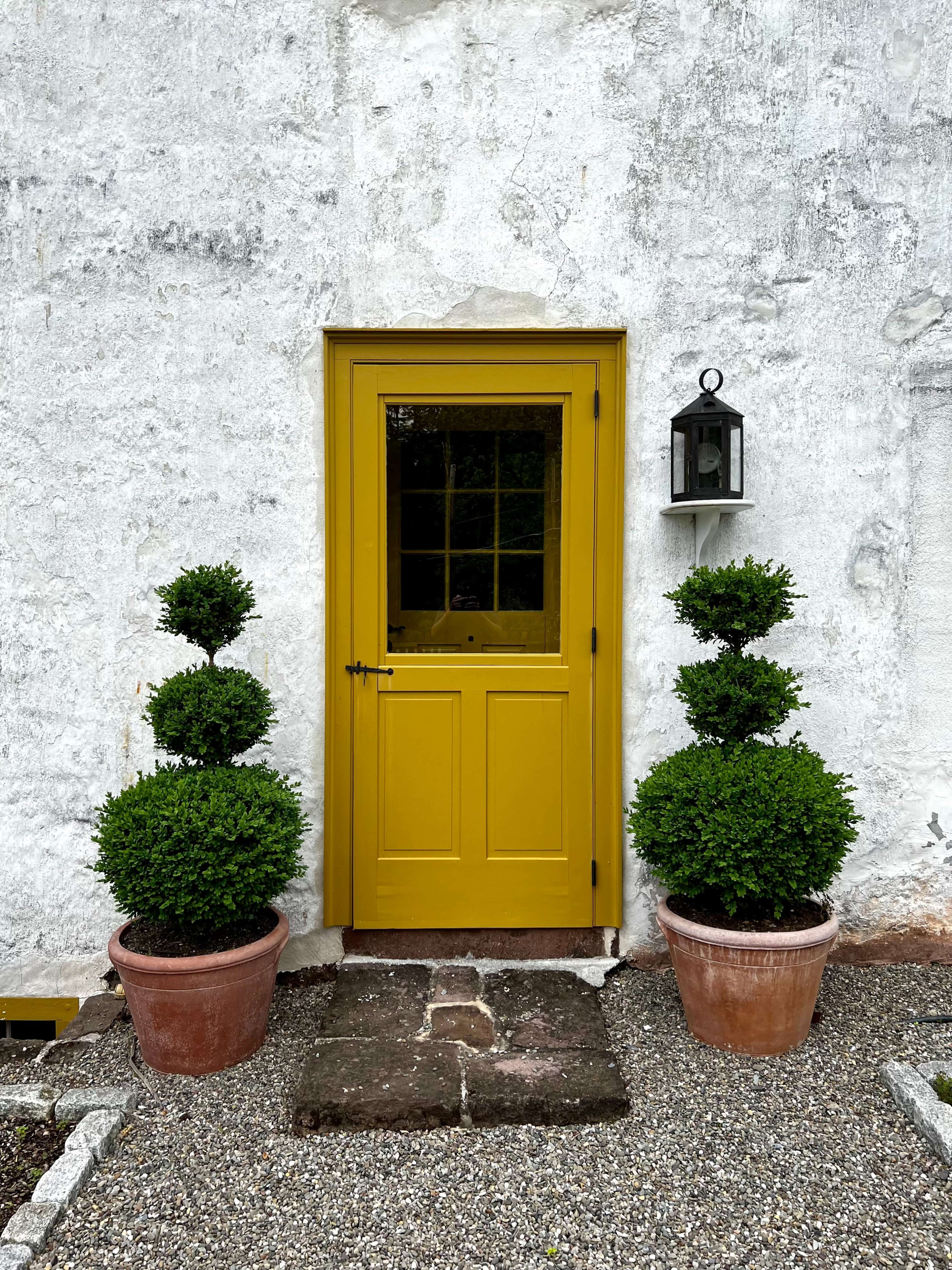 A bright yellow door is framed by two rounded topiary plants in terracotta pots against a white wall.