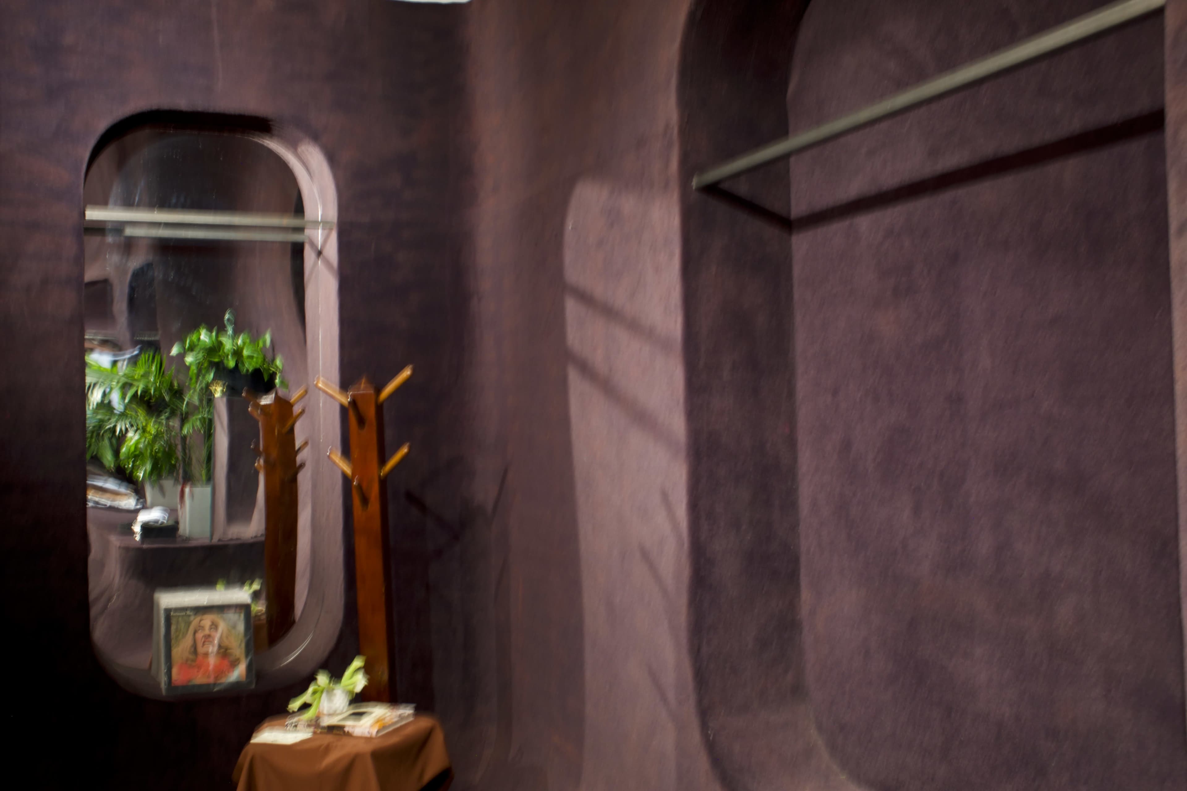 The image shows an abstract interior with curved walls featuring a coat rack and a table adorned with plants and a framed picture.