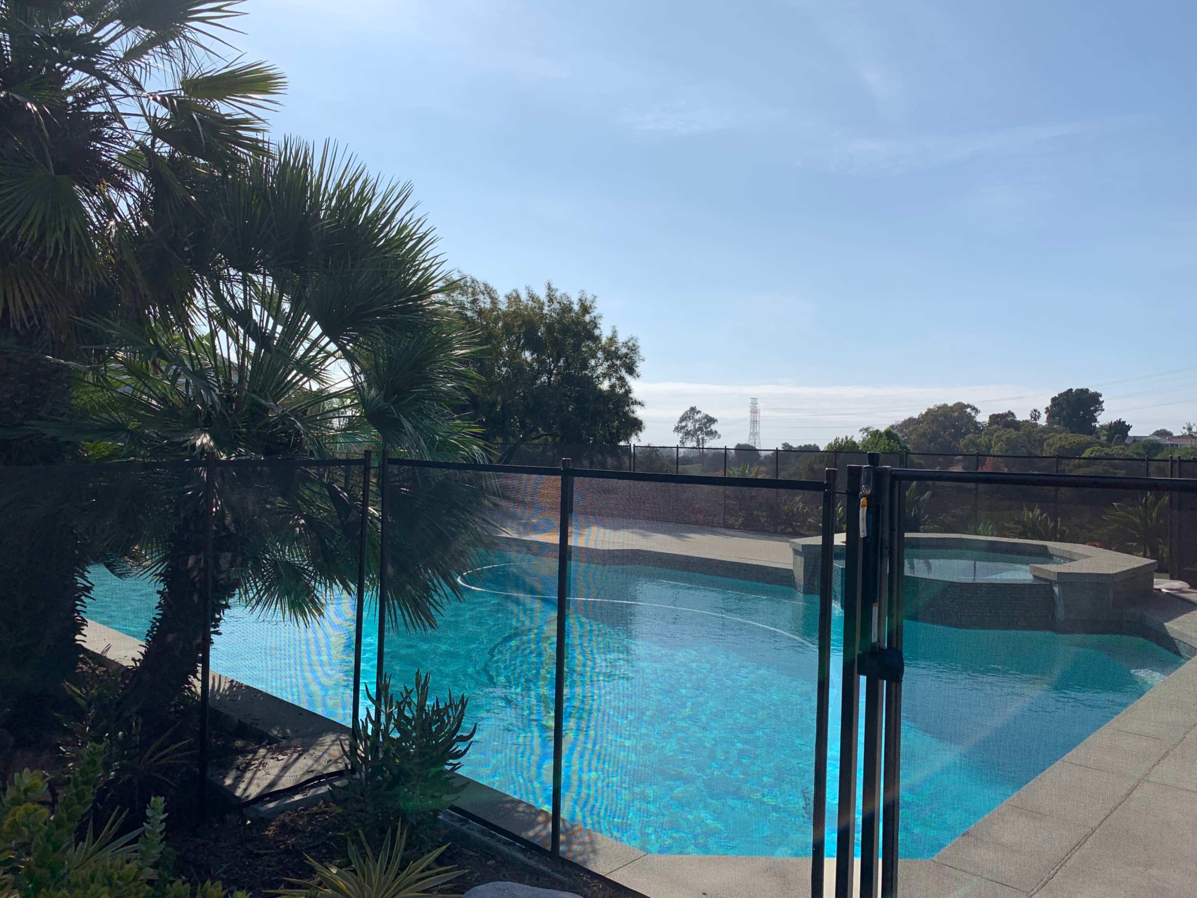 A fenced-in swimming pool is situated amidst palm trees and shrubs under a clear blue sky.