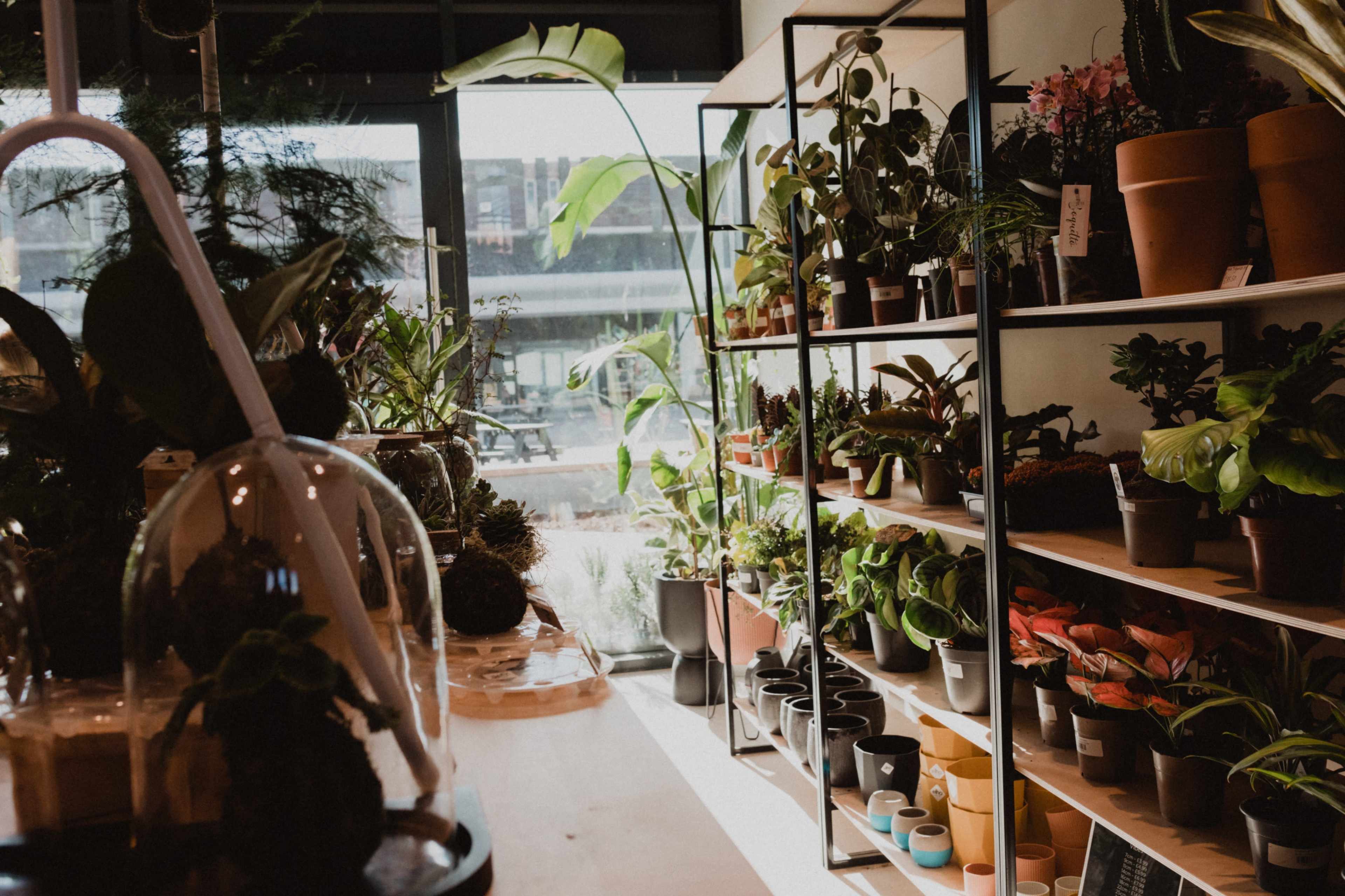 Florist and plant shop in a trendy shopping centre Image in Sale, Sale, ENG