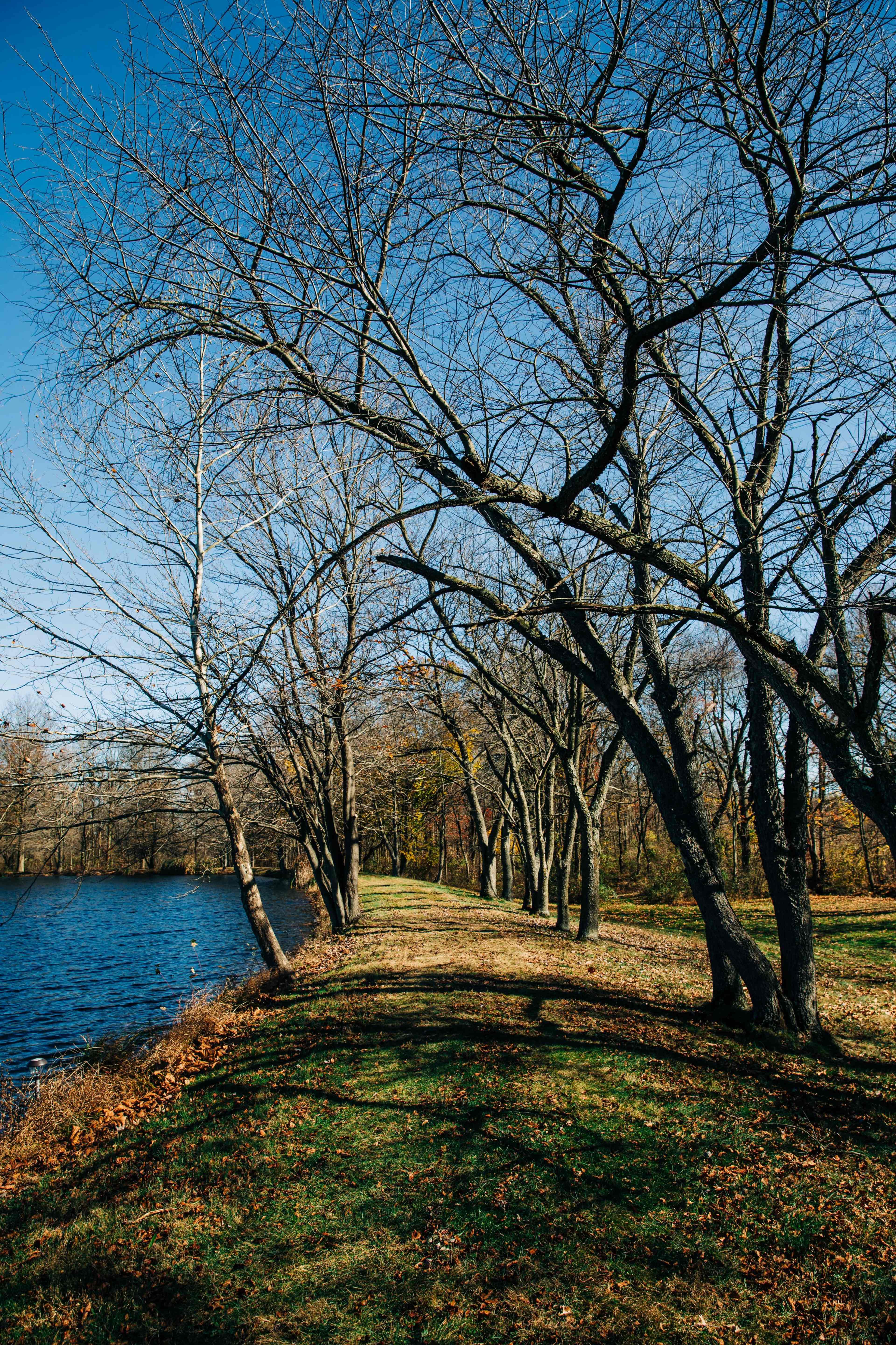 A tree-lined pathway runs alongside a calm body of water under a clear blue sky.