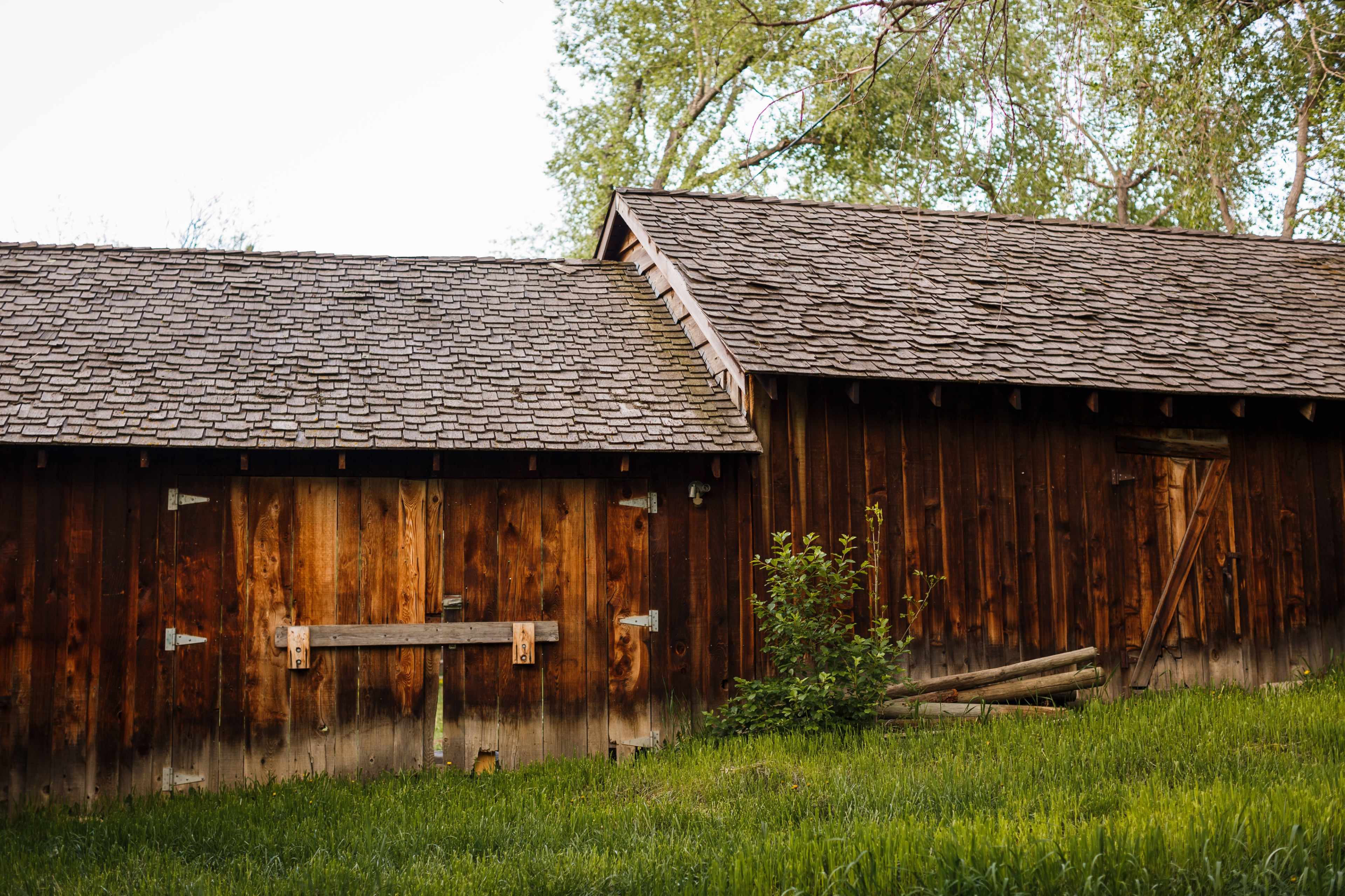 Two wooden structures with sloped roofs, surrounded by green grass and trees.