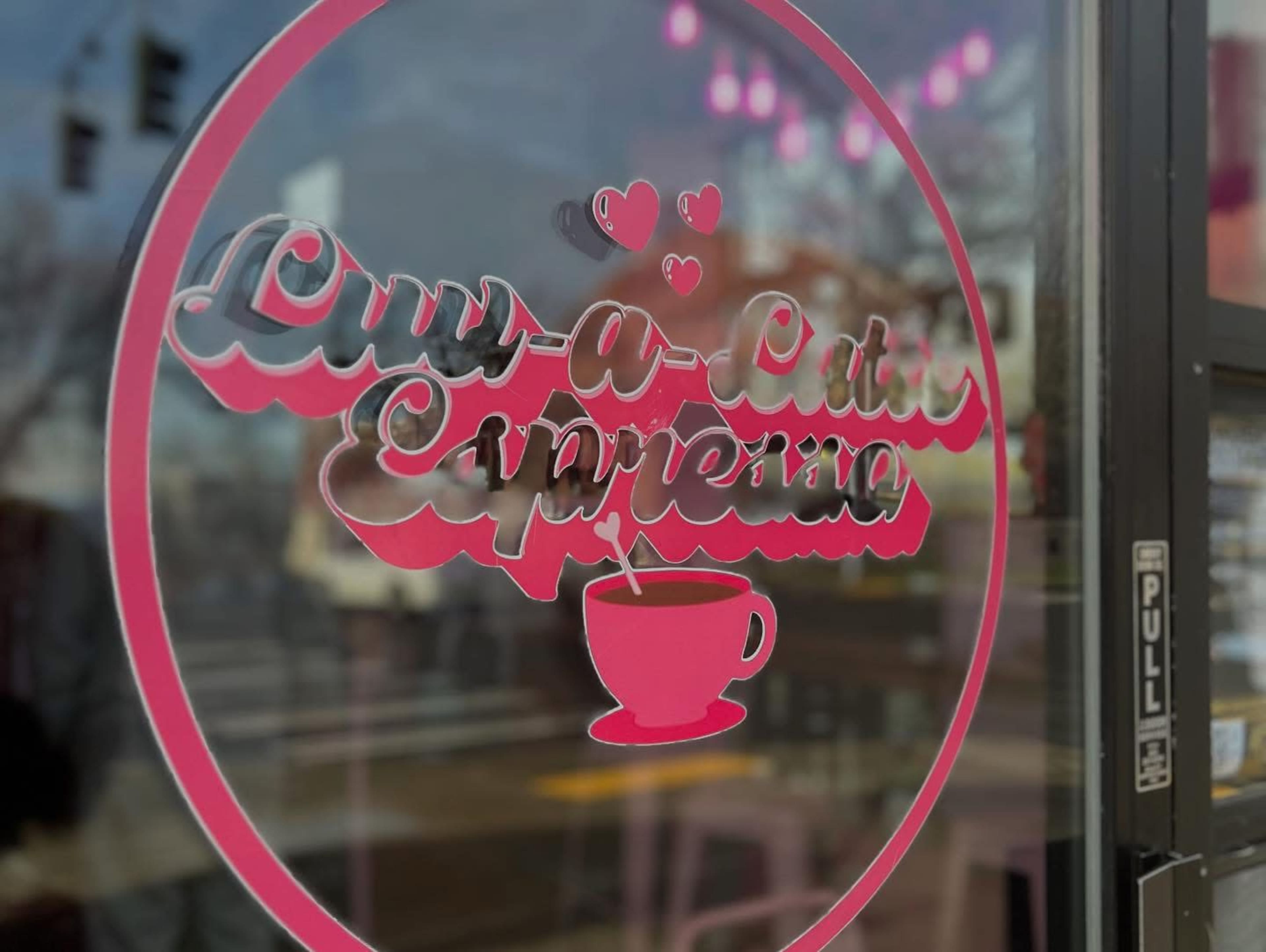 The Pink Place Image in New Tacoma, Tacoma, WA