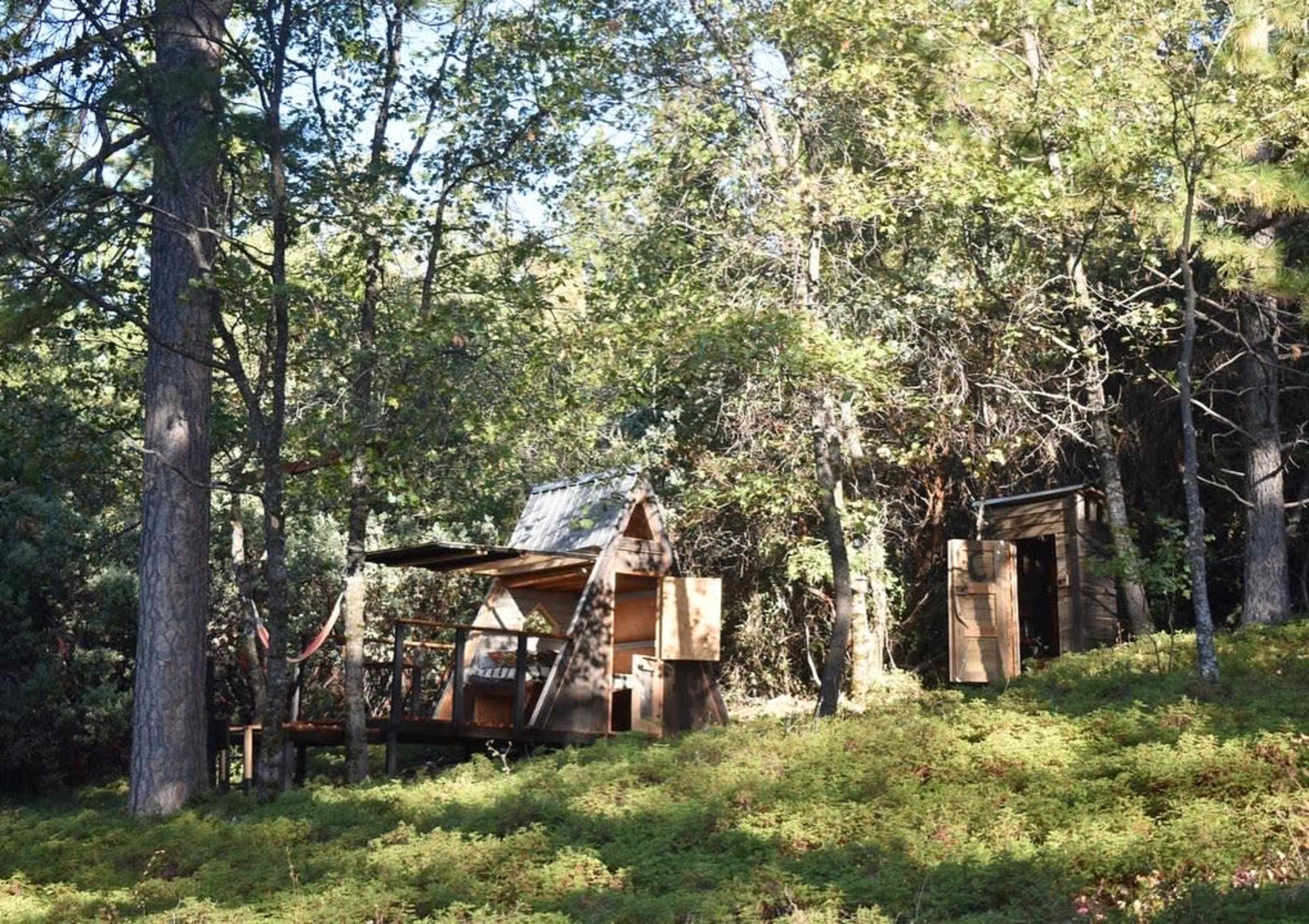 A wooden cabin with a porch and a small outhouse are nestled among tall trees and green foliage.