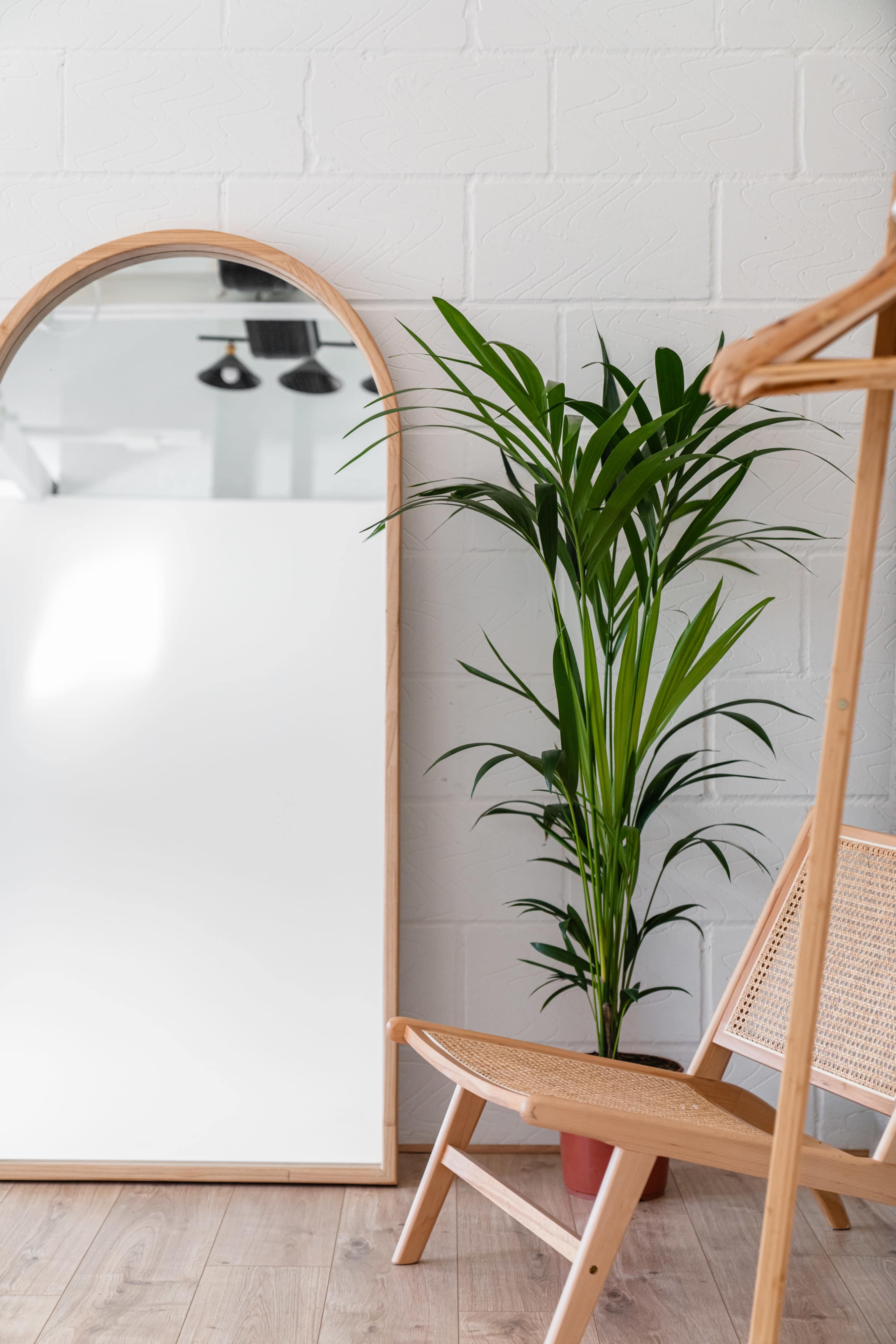 Brixton Photo studio with cyclorama Image in Lambeth, Lambeth, London, ENG