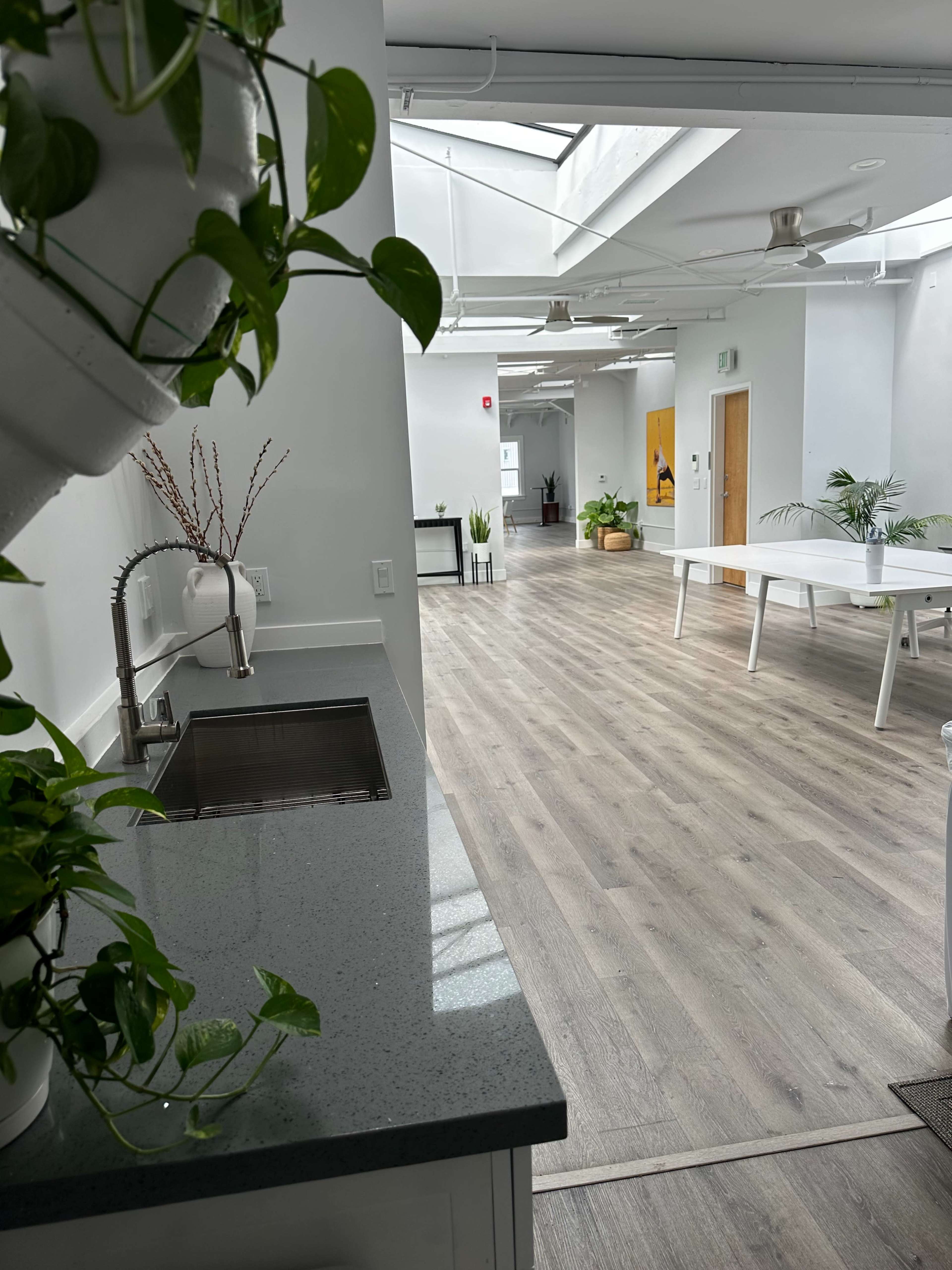 The image shows a bright, modern interior space with a kitchen area on the left and a large open room featuring plants and tables in the background.