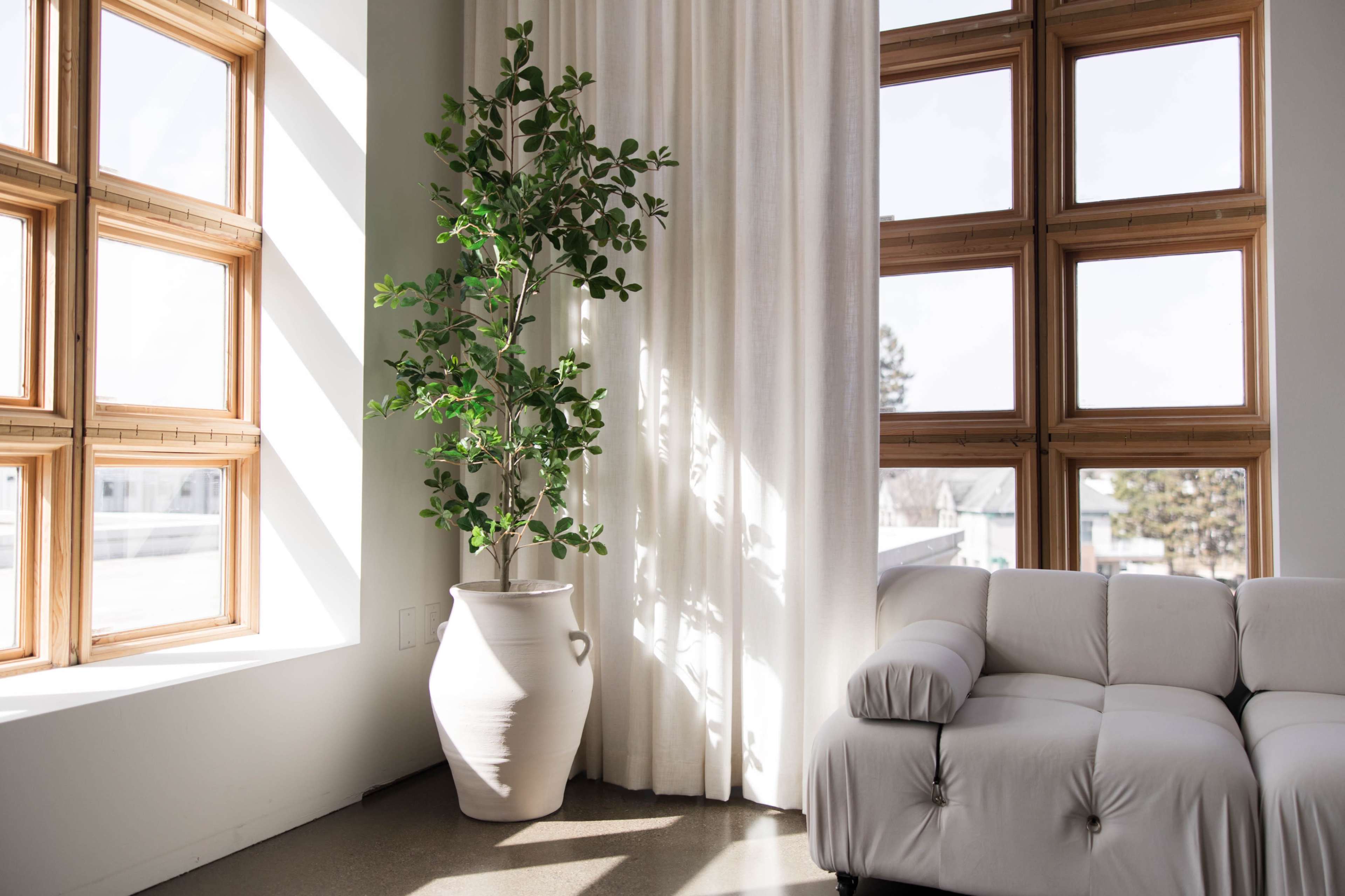 A modern living room features a white sofa beside a large potted plant, with natural light streaming through square wooden windows and illuminating sheer curtains.