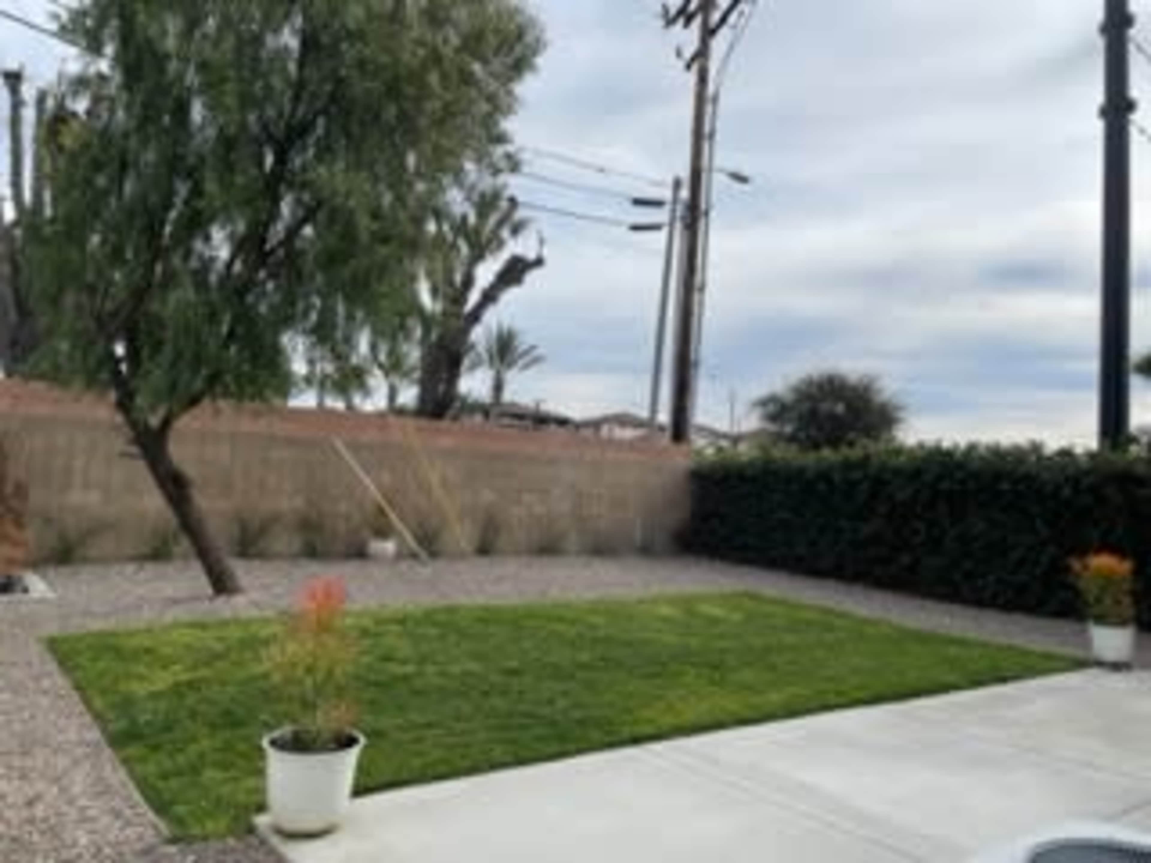 A landscaped backyard featuring a grassy area, two potted plants, and a fence, with power lines visible in the background.
