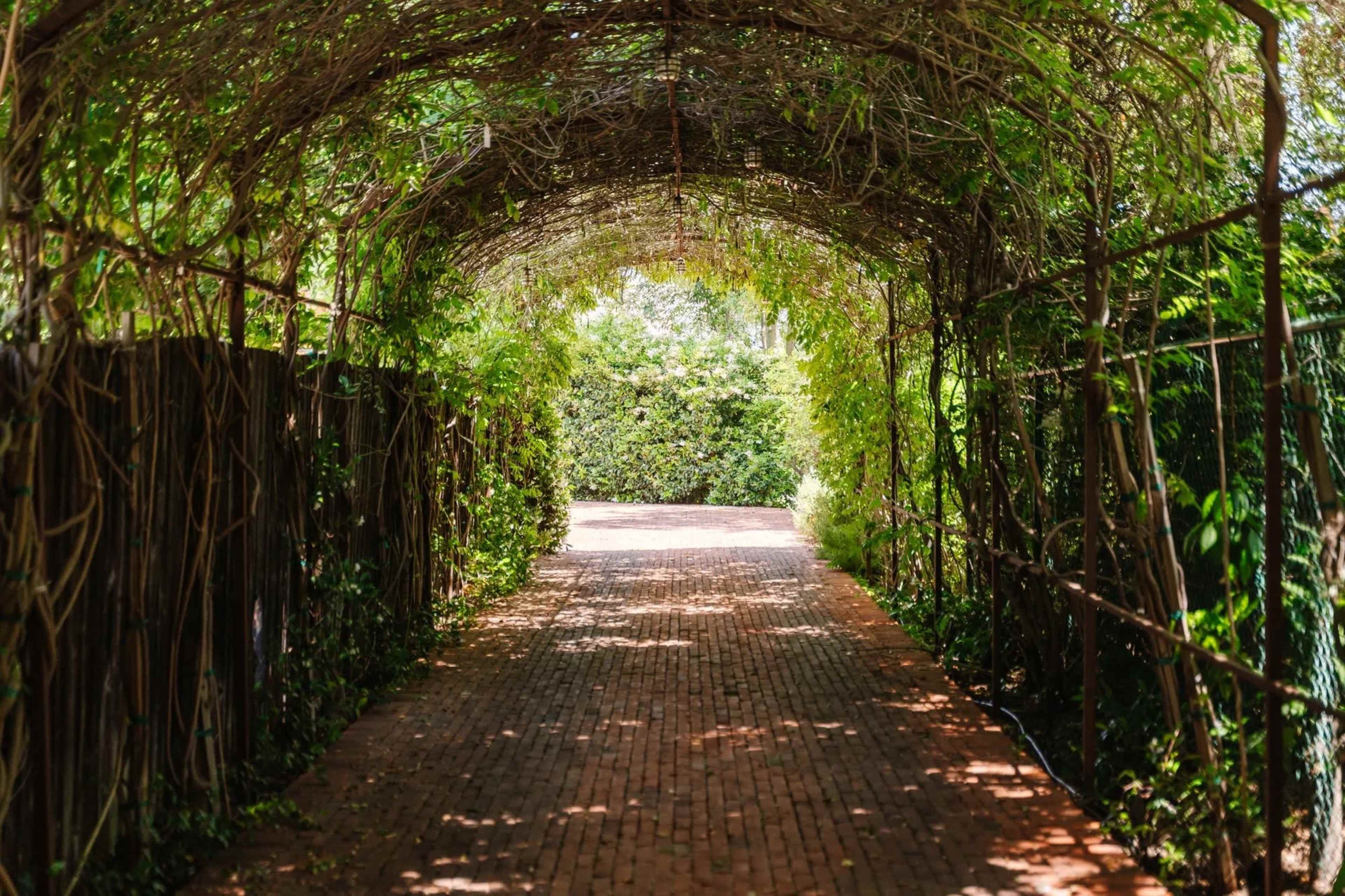 A brick pathway leads through a vine-covered archway, surrounded by lush greenery on both sides.
