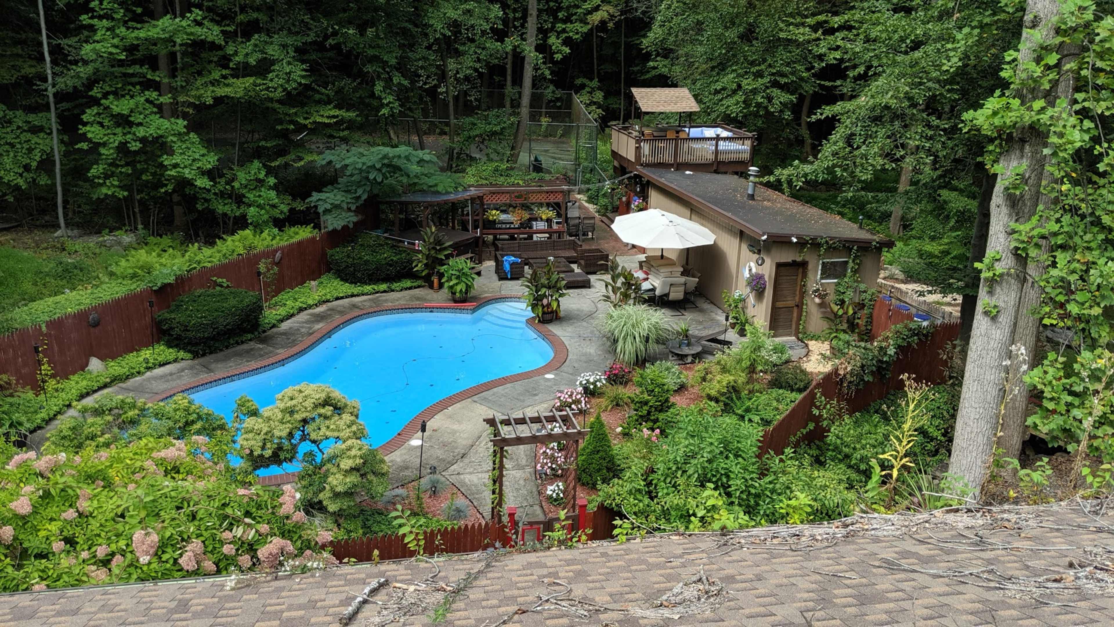 A landscaped backyard featuring a swimming pool surrounded by greenery, a wooden deck with seating, and a small building in the background.