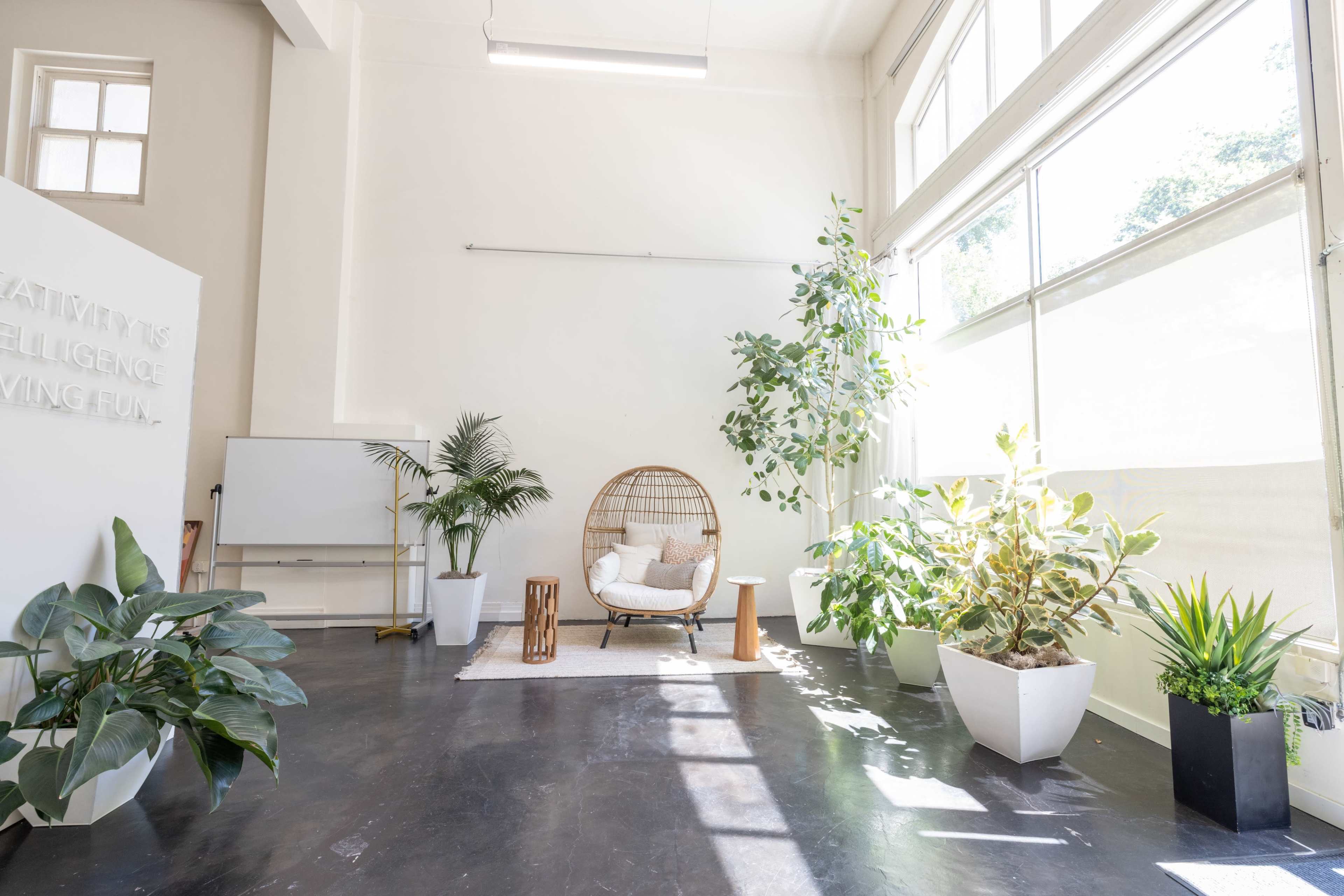 The image shows a bright and airy room with large windows, featuring a rattan chair, several plants in pots, and a white board against one wall.
