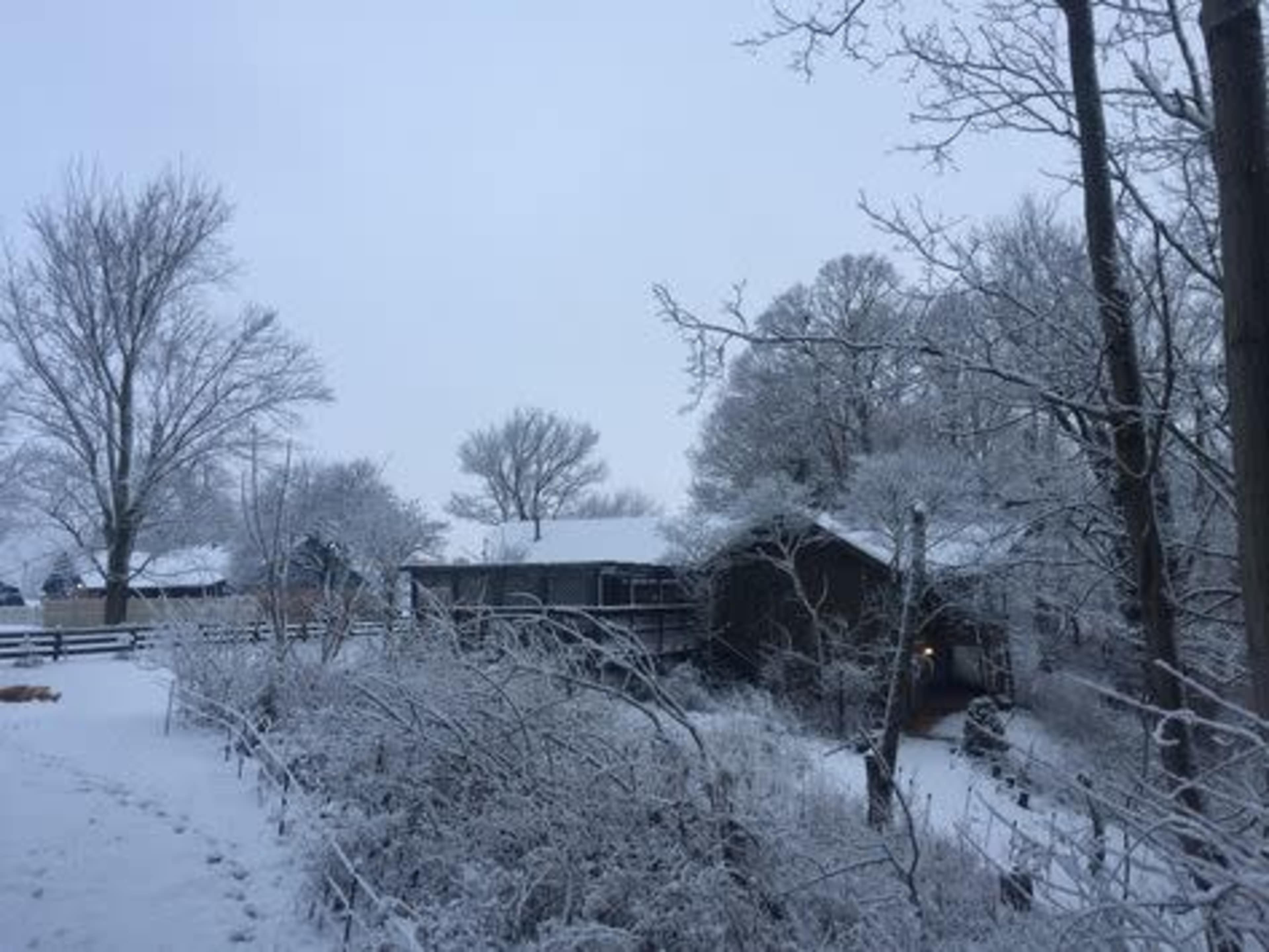 A house is nestled among trees and a snow-covered landscape on a winter day.