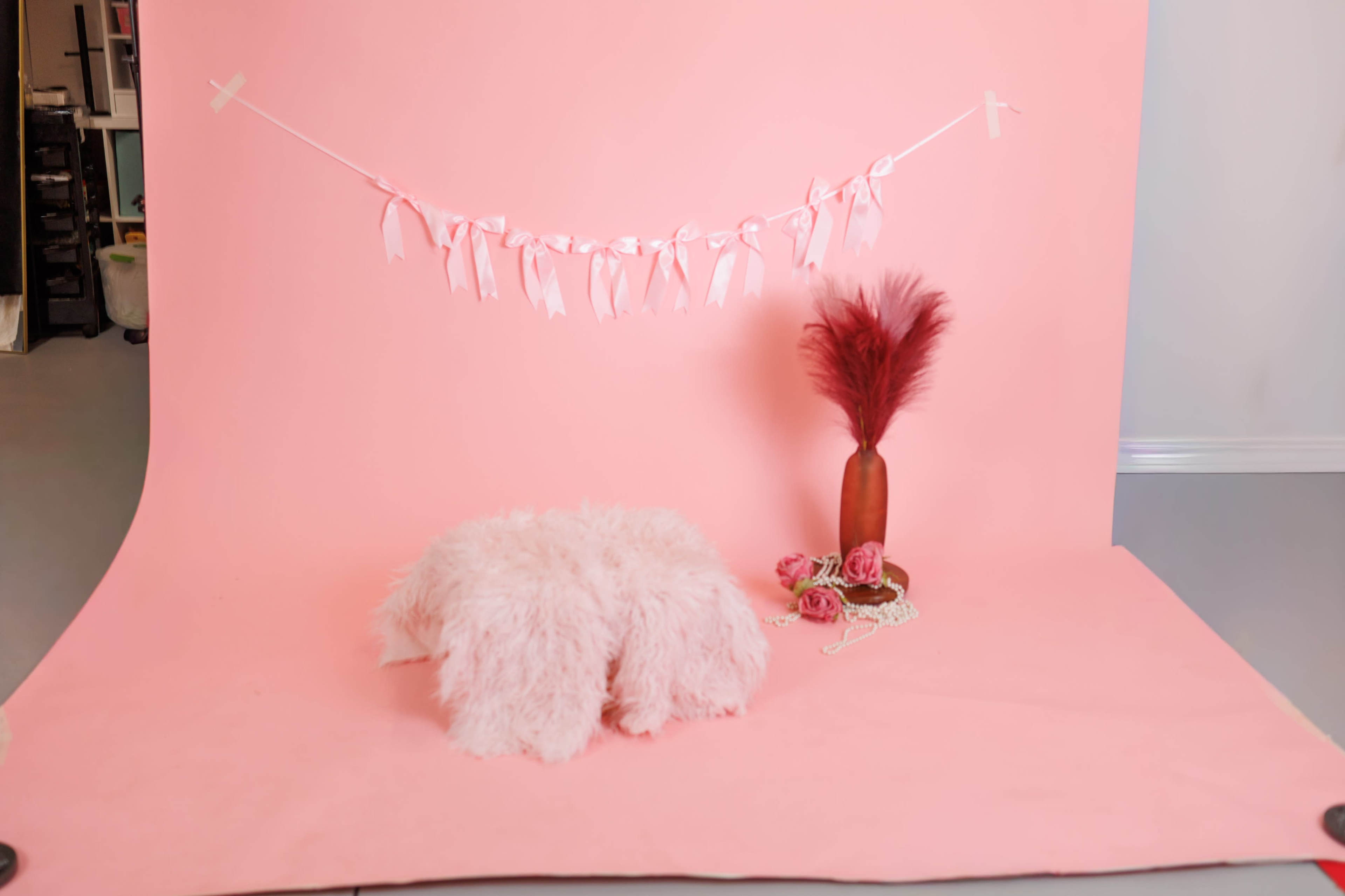 The scene features a pink backdrop with a decorative banner, a fluffy white rug, a vase with ornamental plants, and a small arrangement of flowers.