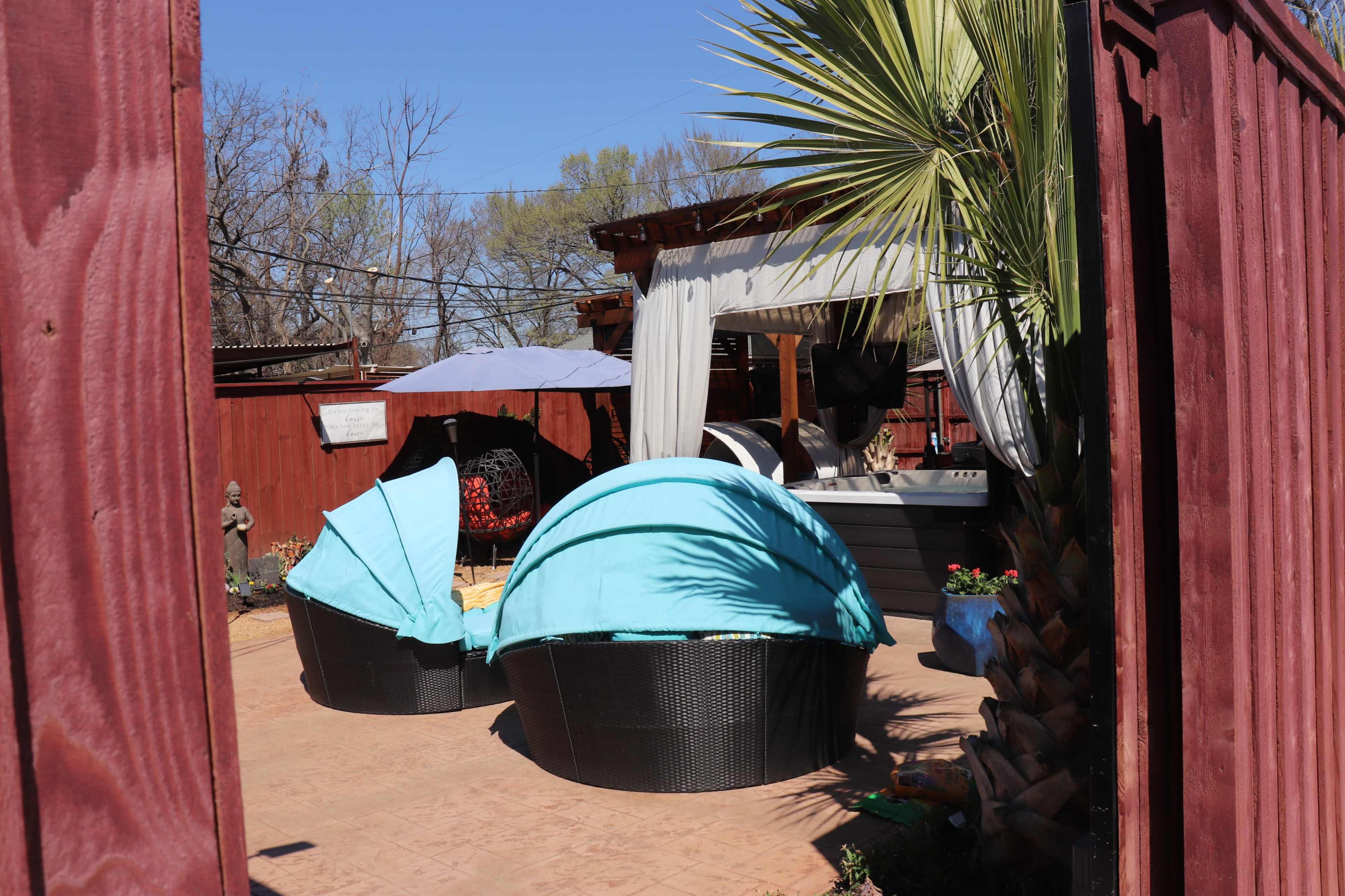A backyard area with two covered lounge chairs, a palm tree, and a shaded outdoor structure.