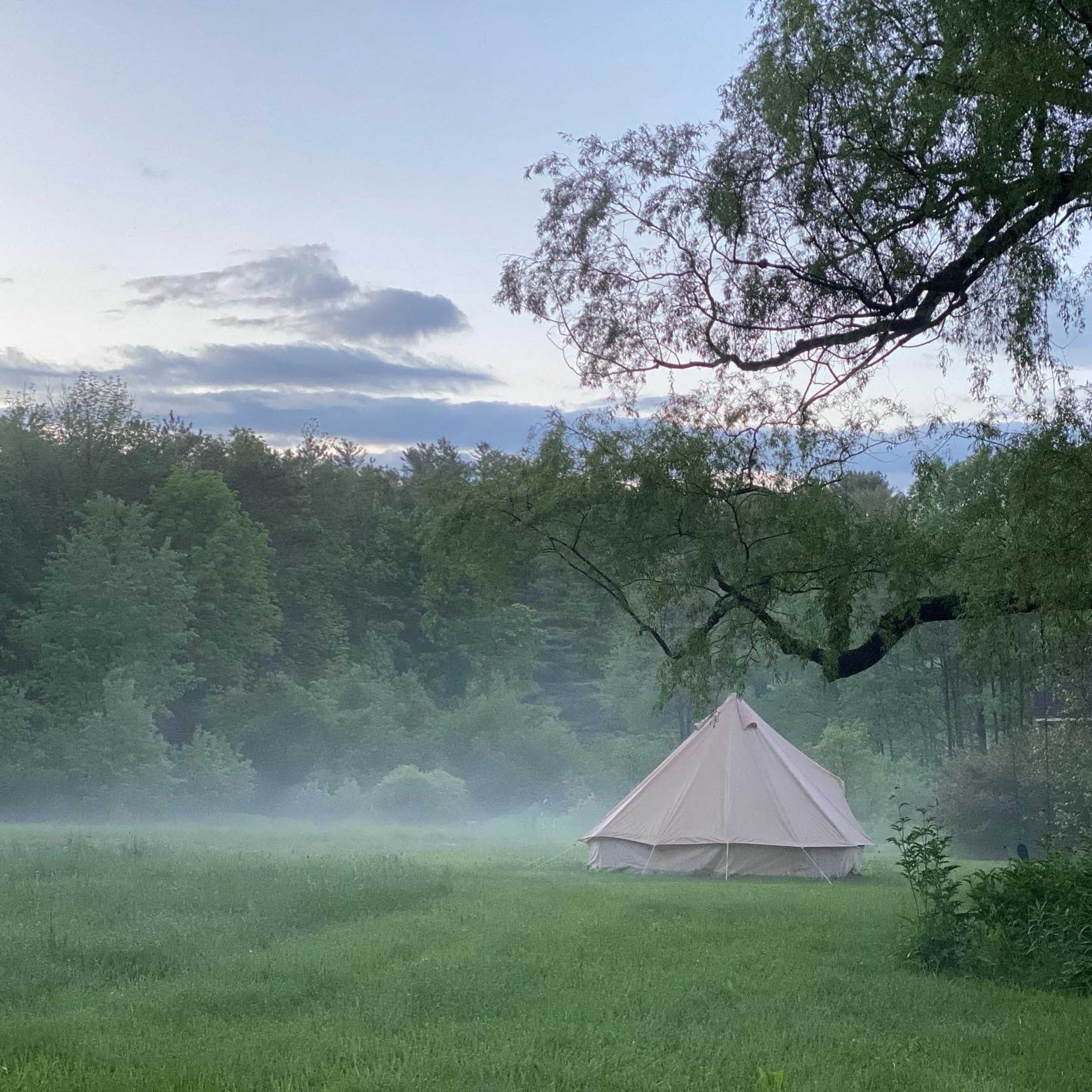 A large white tent is positioned in a misty green field surrounded by trees under a cloudy sky.