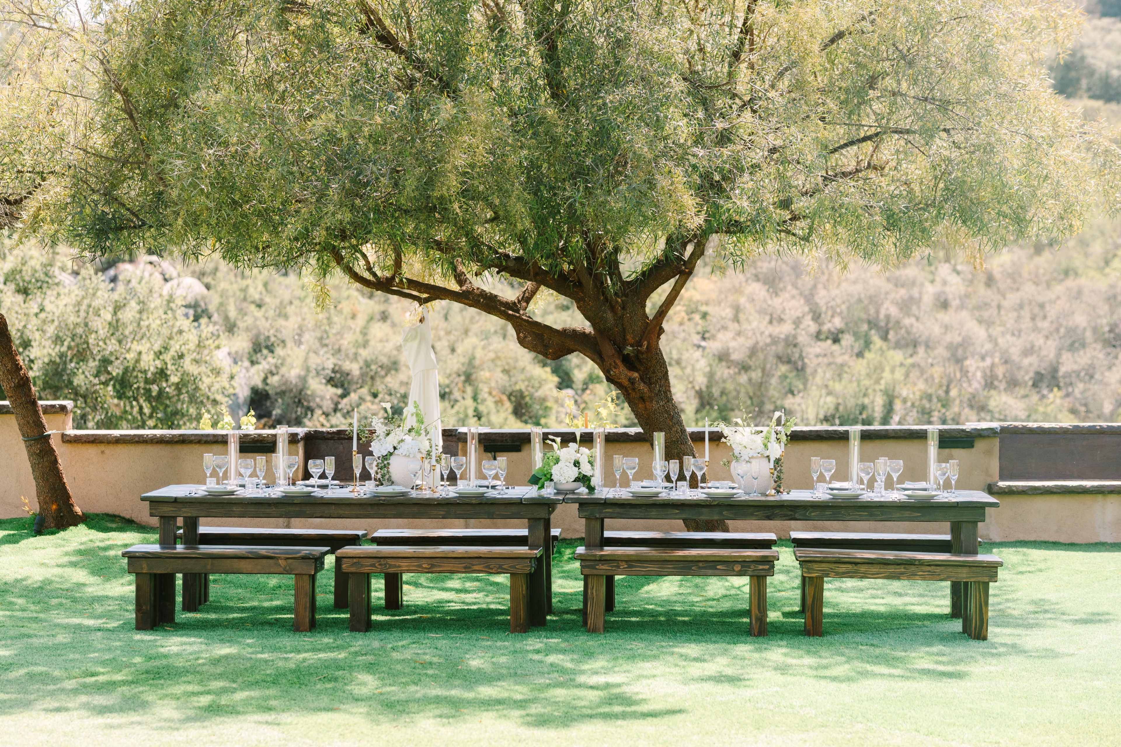 A long wooden dining table set with glassware and decorative items is placed under a large tree on a grassy area.