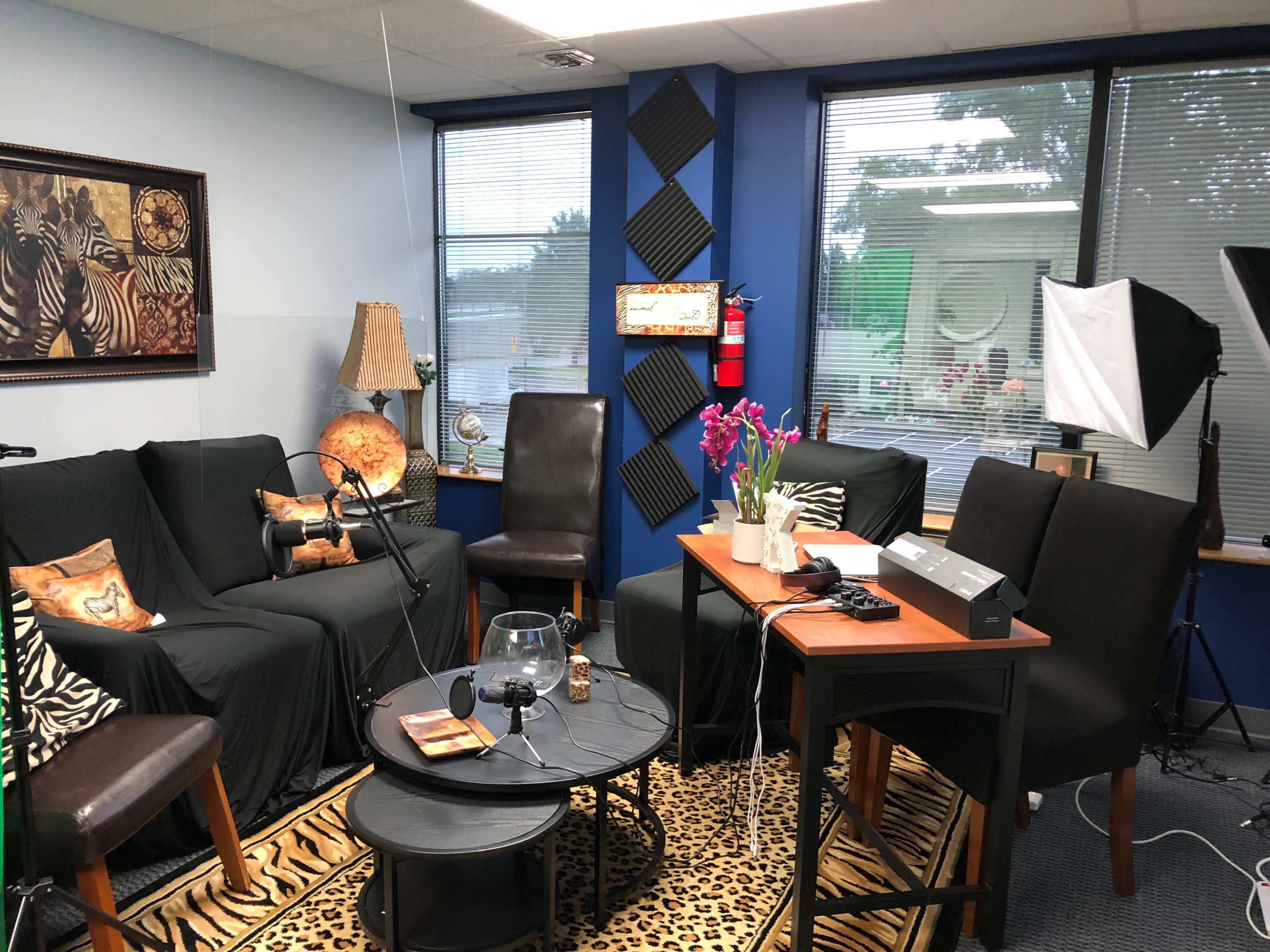 A studio set up with a seating area, a coffee table, and equipment for recording or filming, featuring animal print décor and large windows.