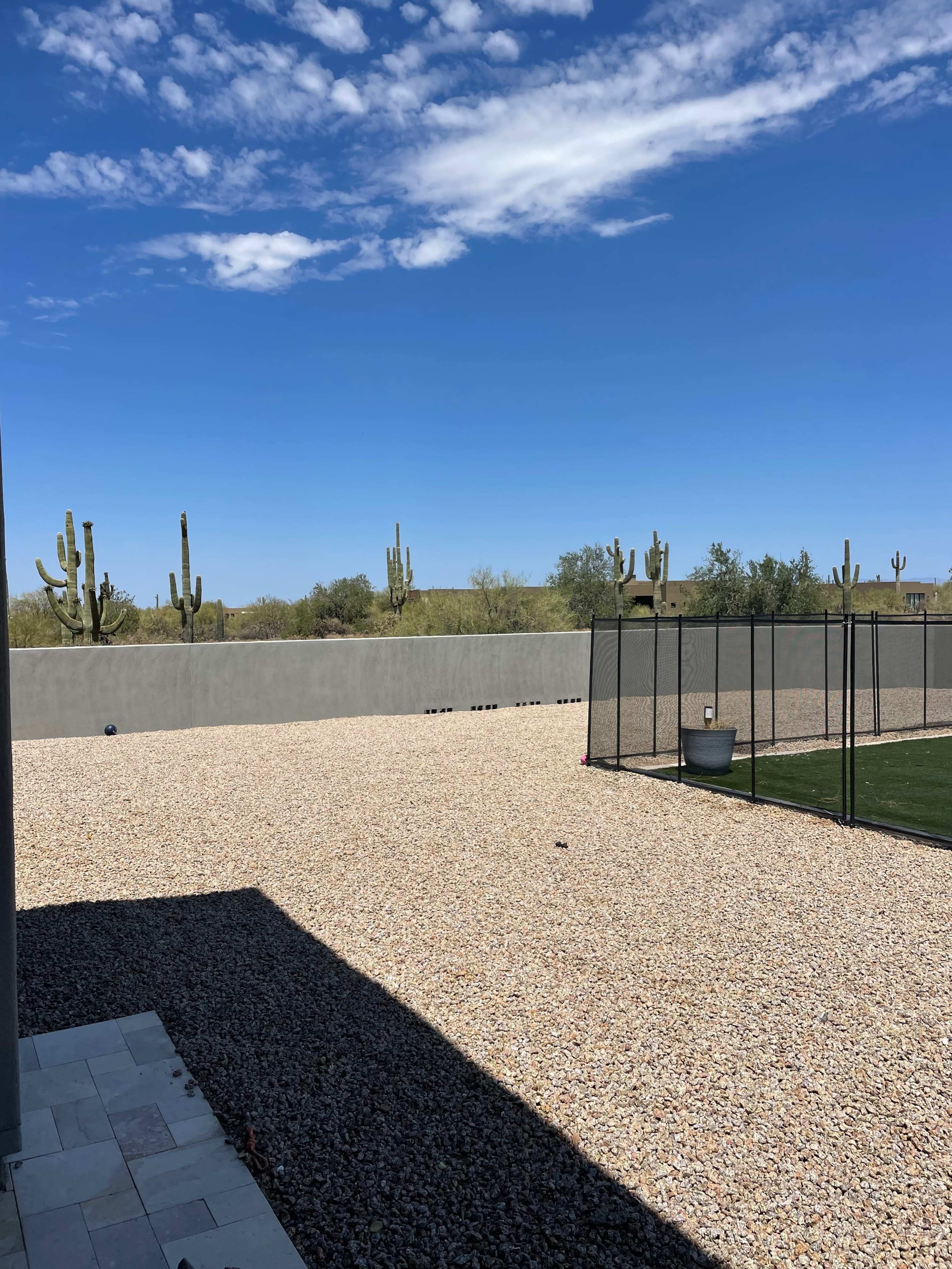 The image shows a gravel landscape with a fence and several cacti against a clear blue sky.