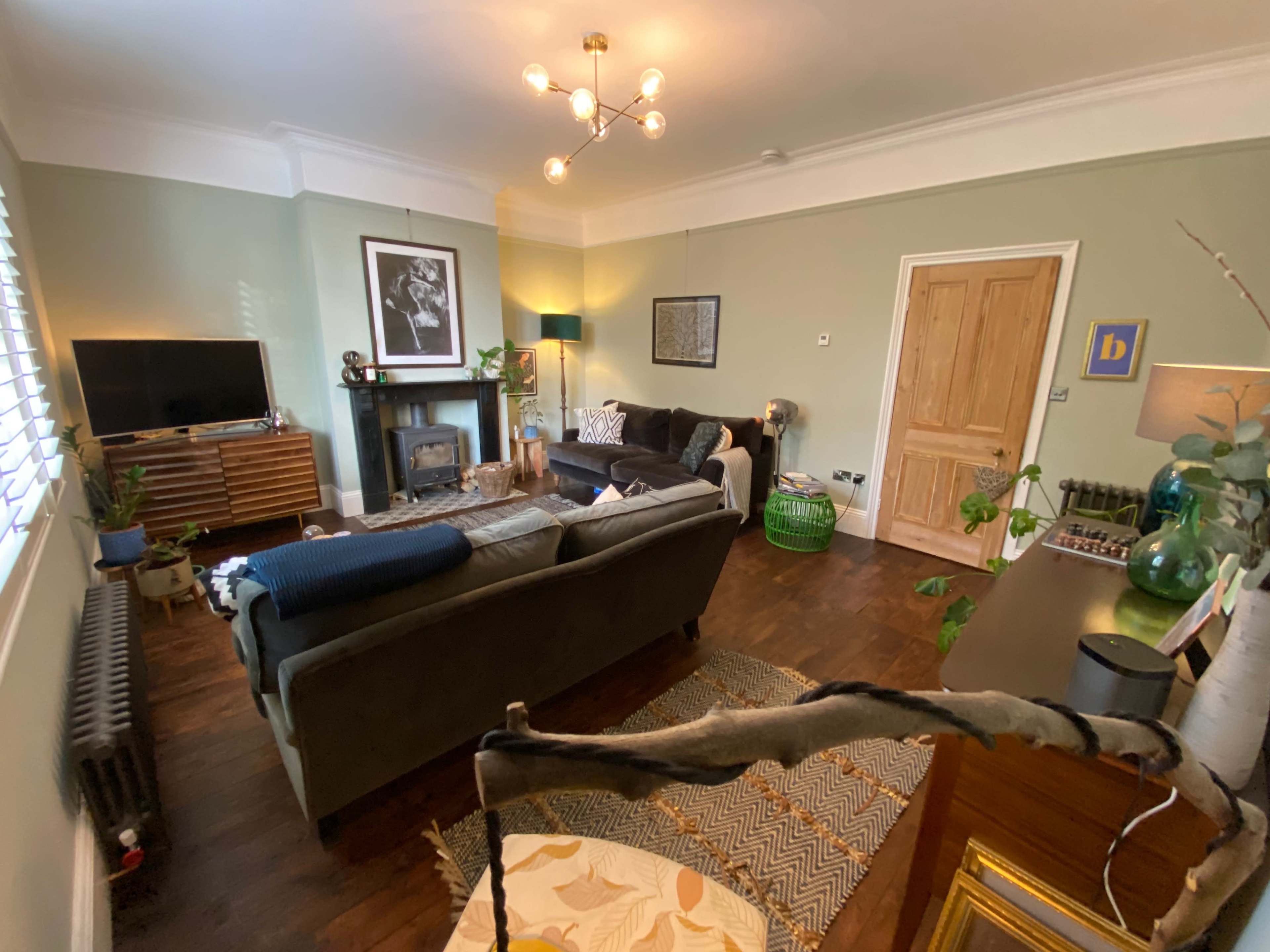 A cozy living room featuring a fireplace, two sofas, a television, and plants, with light streaming through a window.