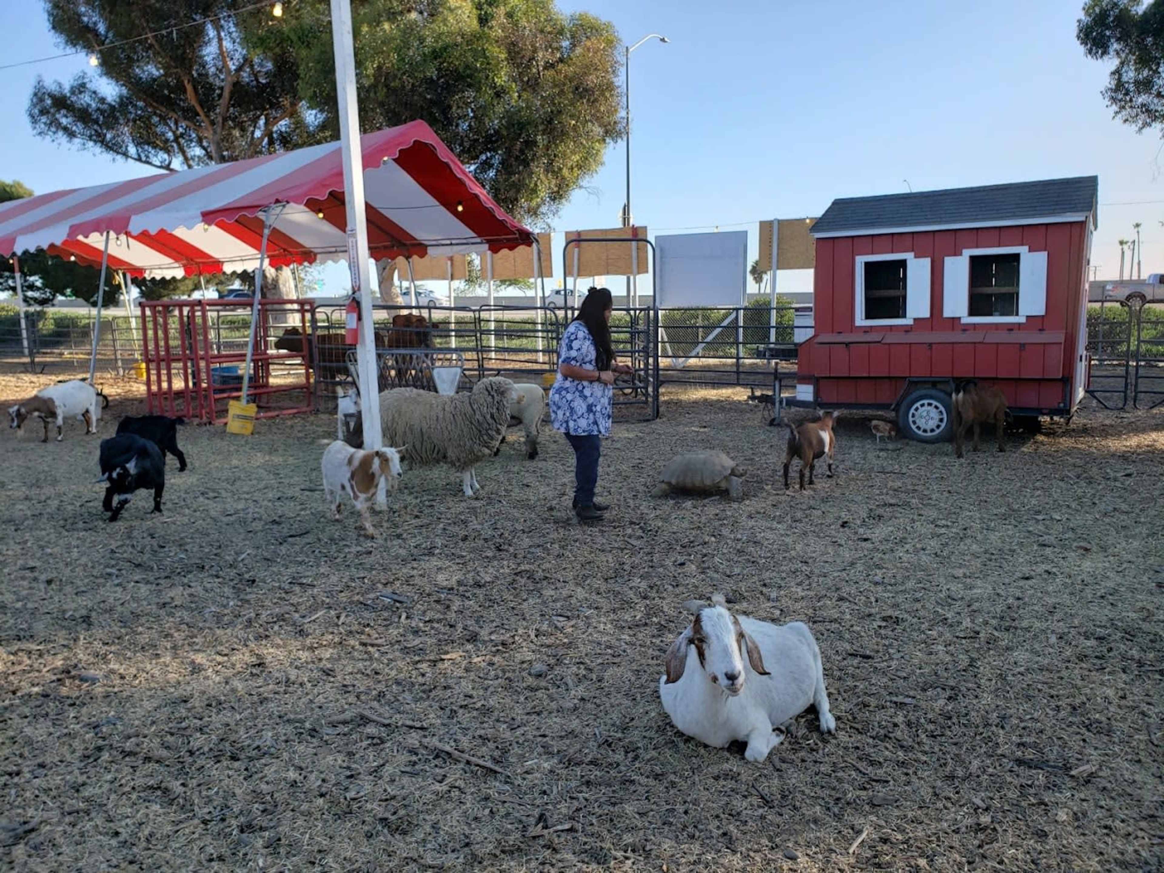 Farm  30 Minutes From Los Angeles County Image in , santa paula, CA
