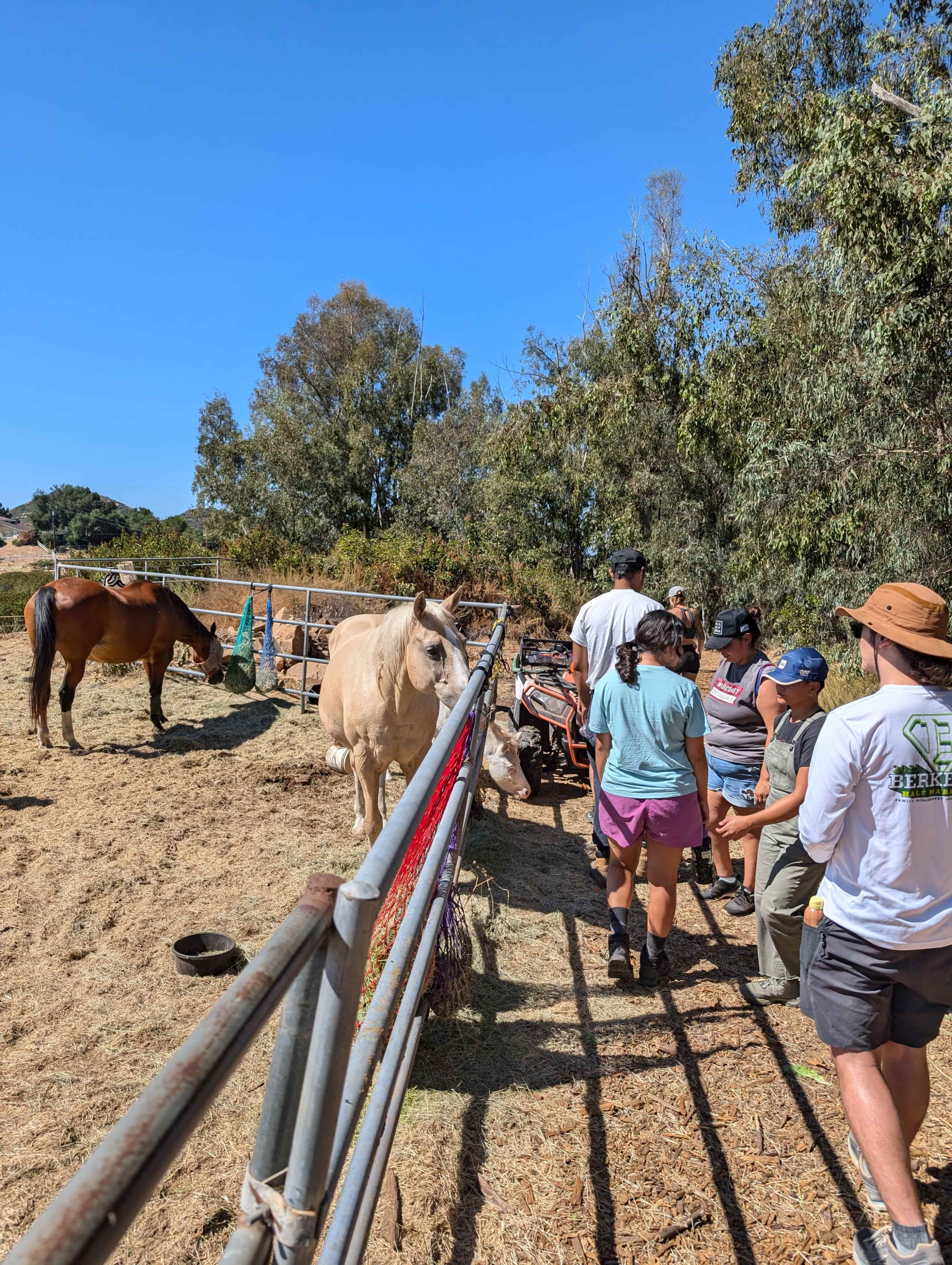 A group of people walks along a fenced area with horses in a rural setting.