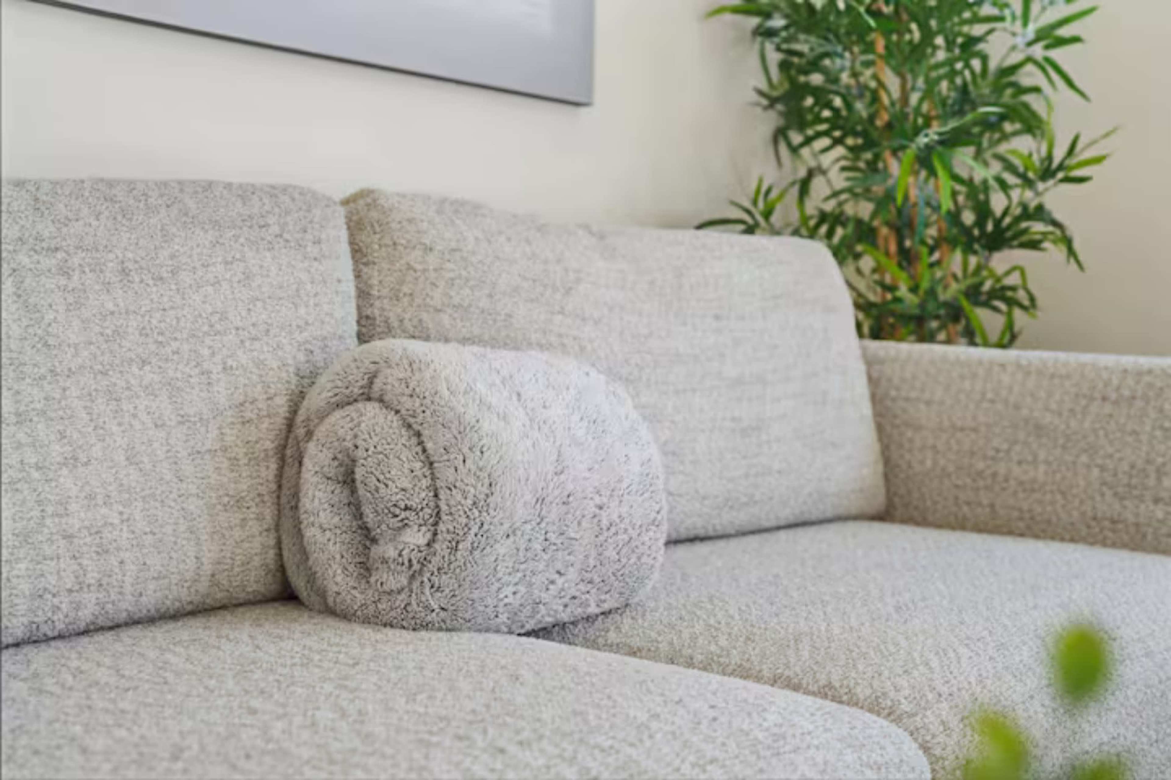 A light gray couch features a rolled, plush pillow resting on its armrest, with a potted plant in the background.