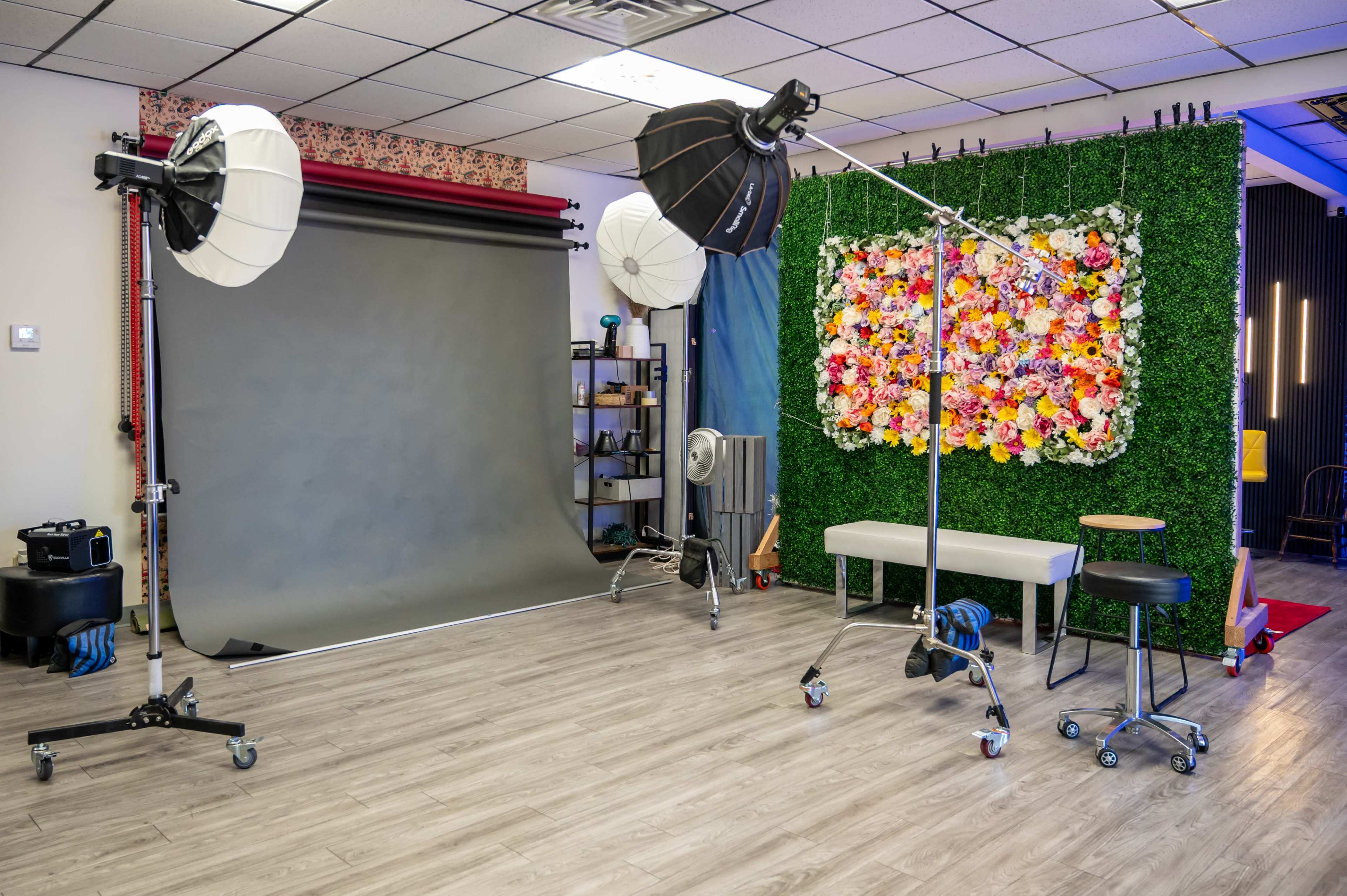 The image shows a photography studio with a gray backdrop on one side, two lighting setups, and a floral wall decoration on the opposite side.