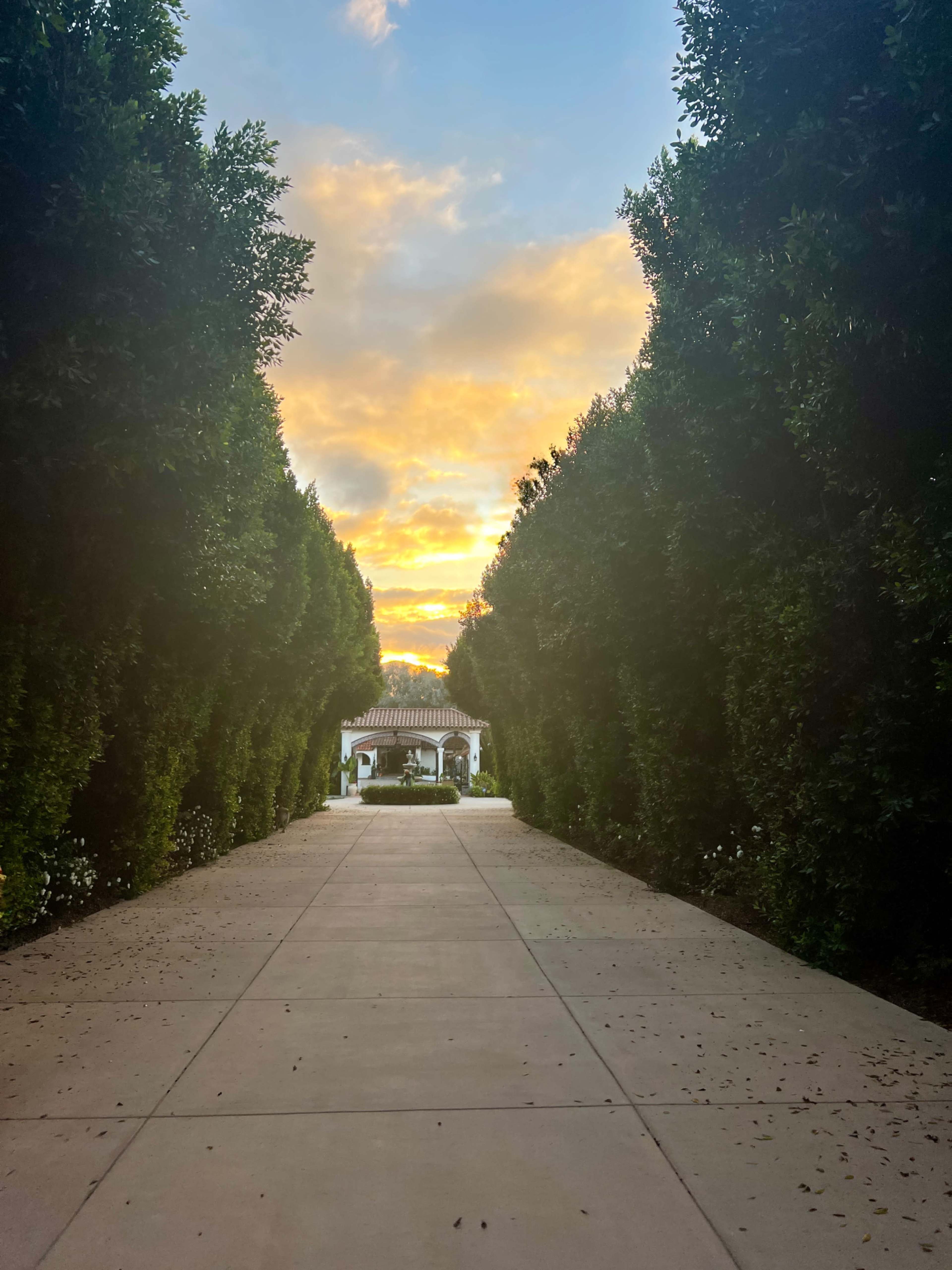 A tree-lined pathway leads to a building framed by a colorful sunset.