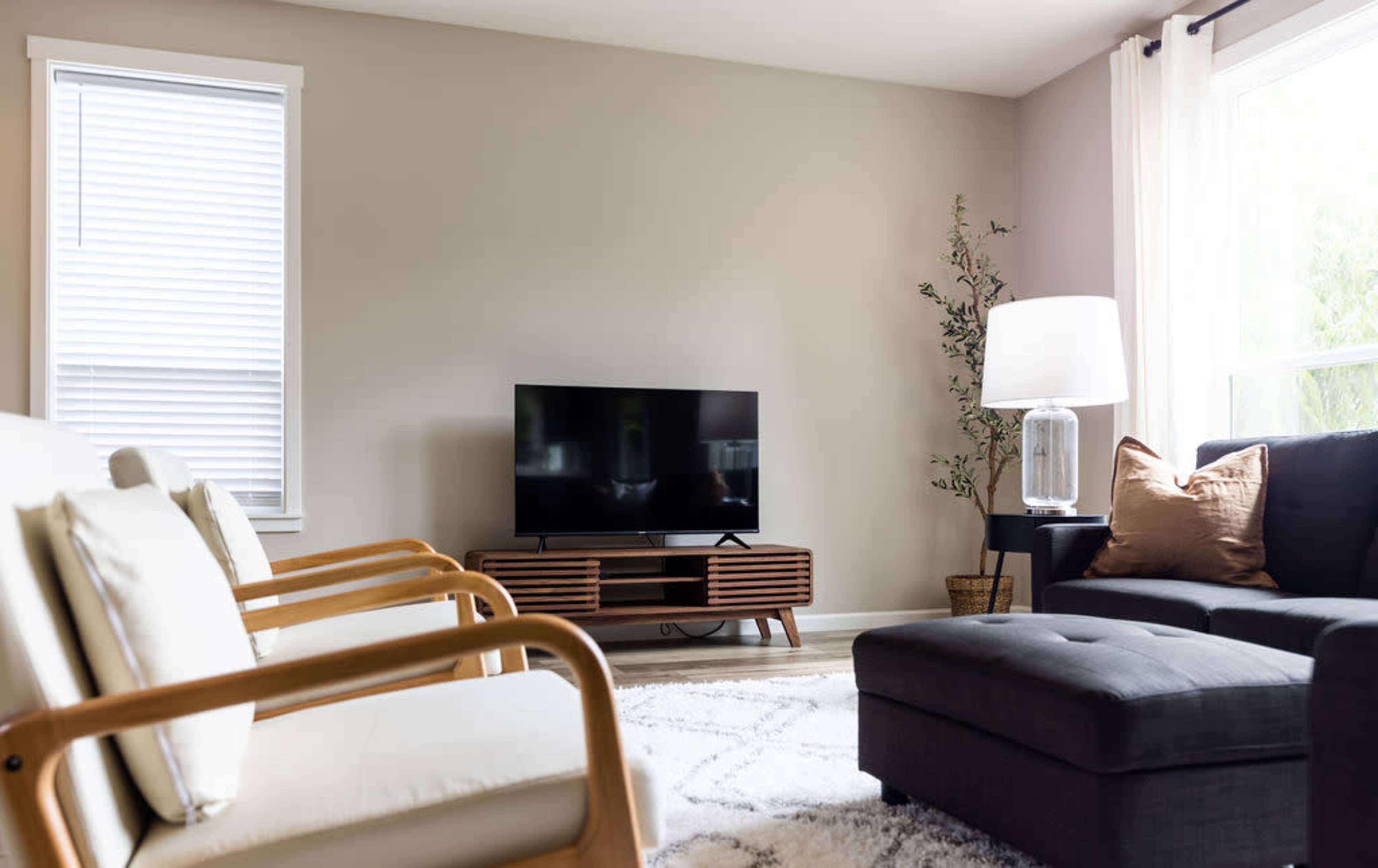 A living room with two armchairs and a sofa facing a TV mounted on a low wooden stand, accompanied by a floor lamp and a decorative plant.