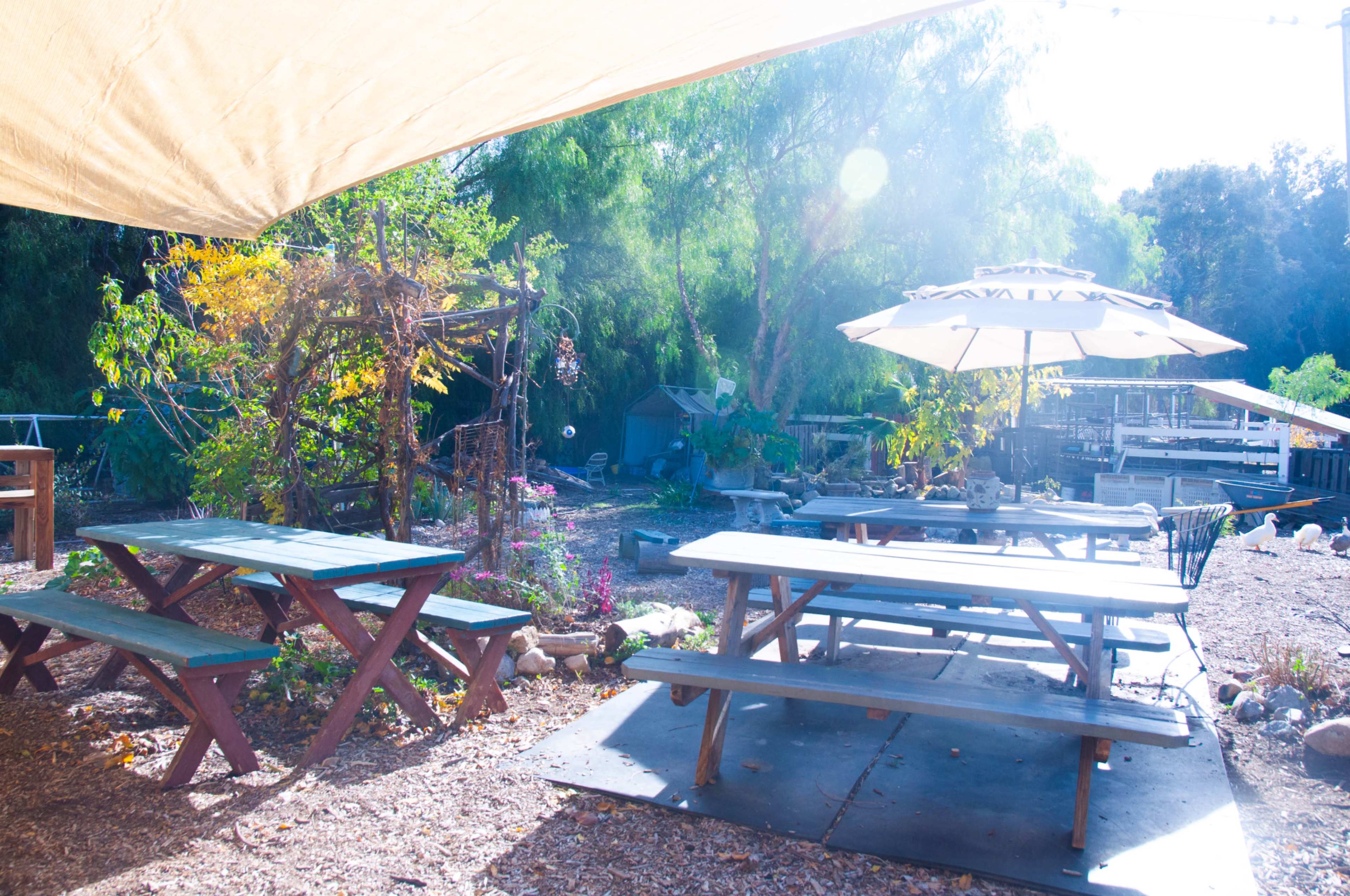 A collection of wooden picnic tables is set up outdoors under a large umbrella, surrounded by trees and garden features.