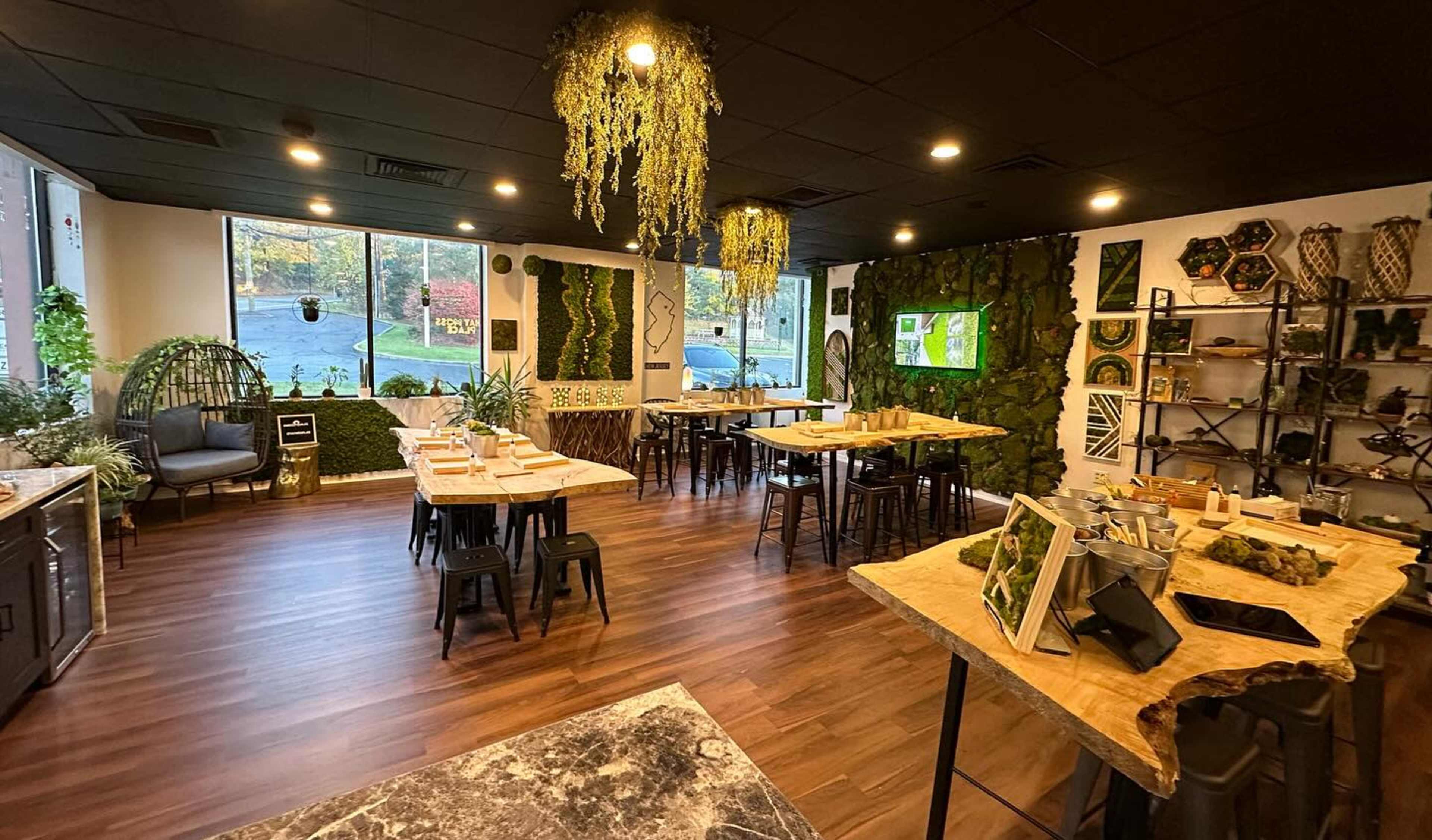 Mossy Nature Inspired Studio Image in Totowa, Totowa, NJ
