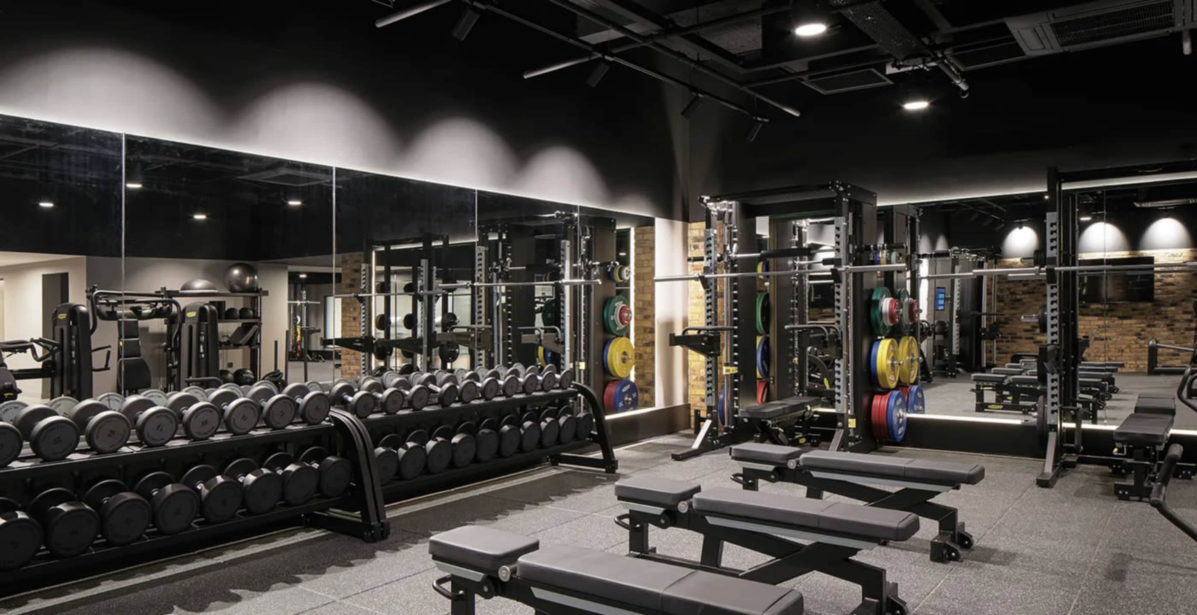 The image shows a modern gym equipped with a range of weights, benches, and workout machines, all set against mirrored walls.