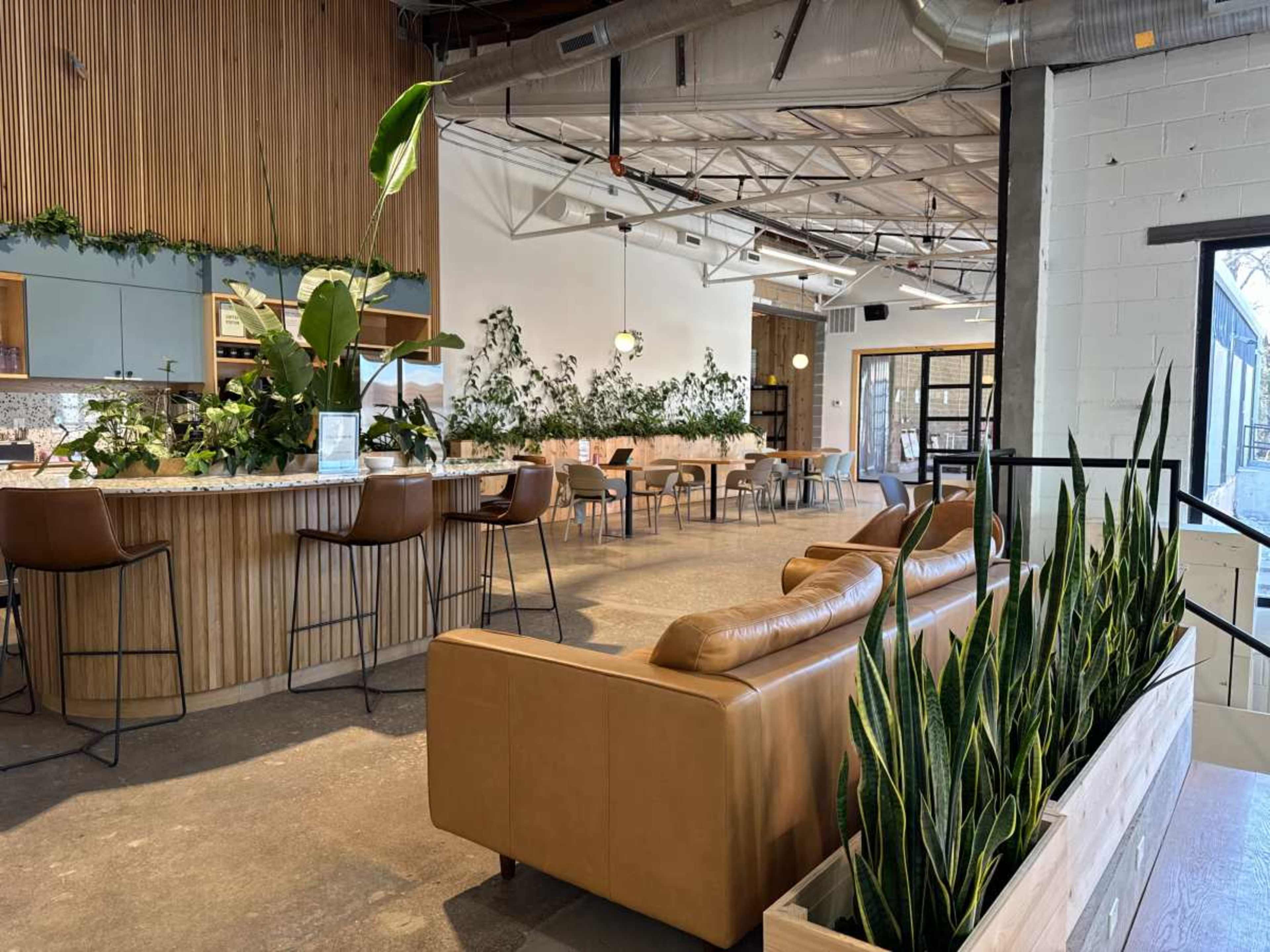 The image shows a modern interior space featuring a bar area with seating, tables arranged for dining, and decorative plants throughout the setting.