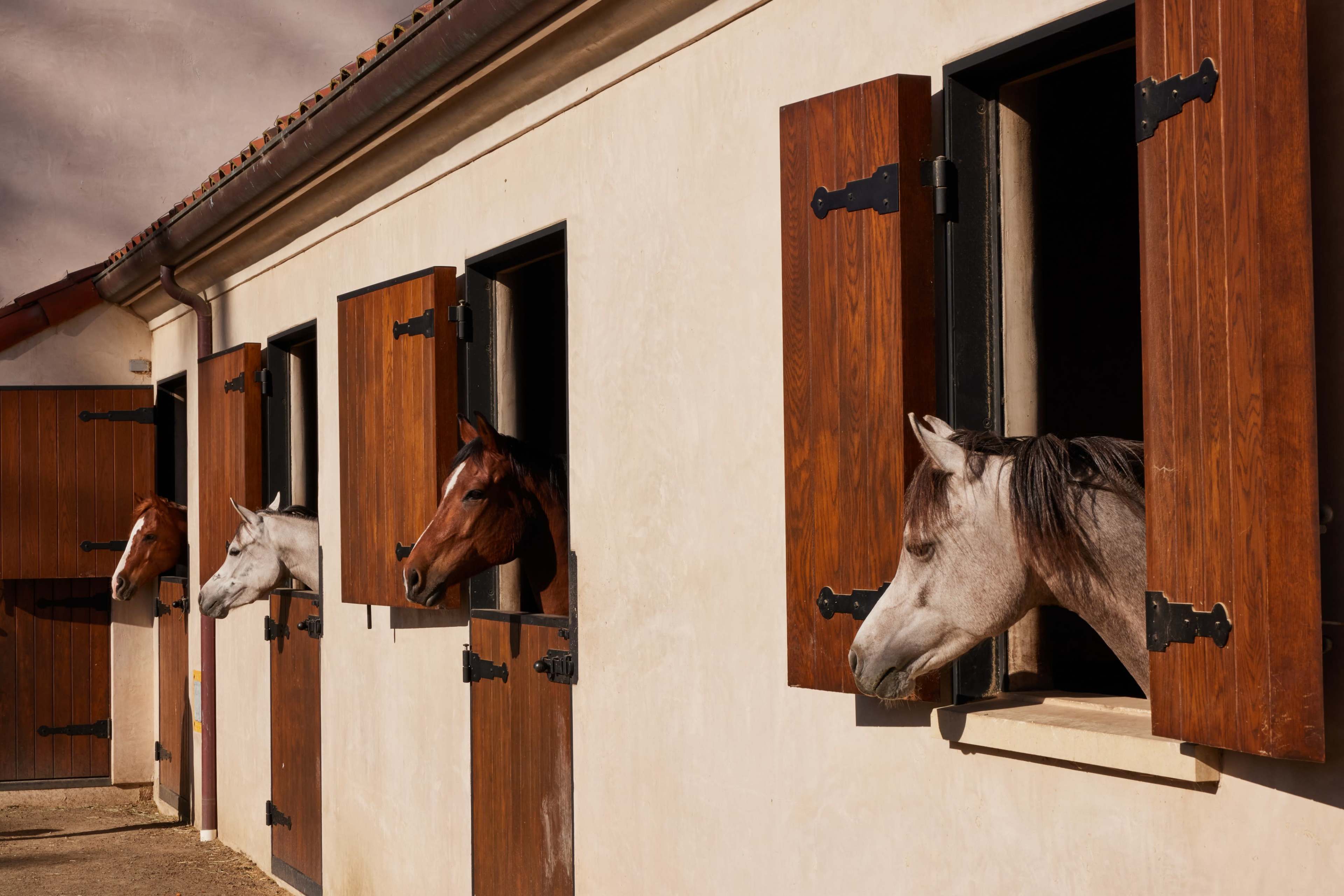 100-Acre Vineyard with Rustic Ranch Backdrops Image in , Lompoc, CA